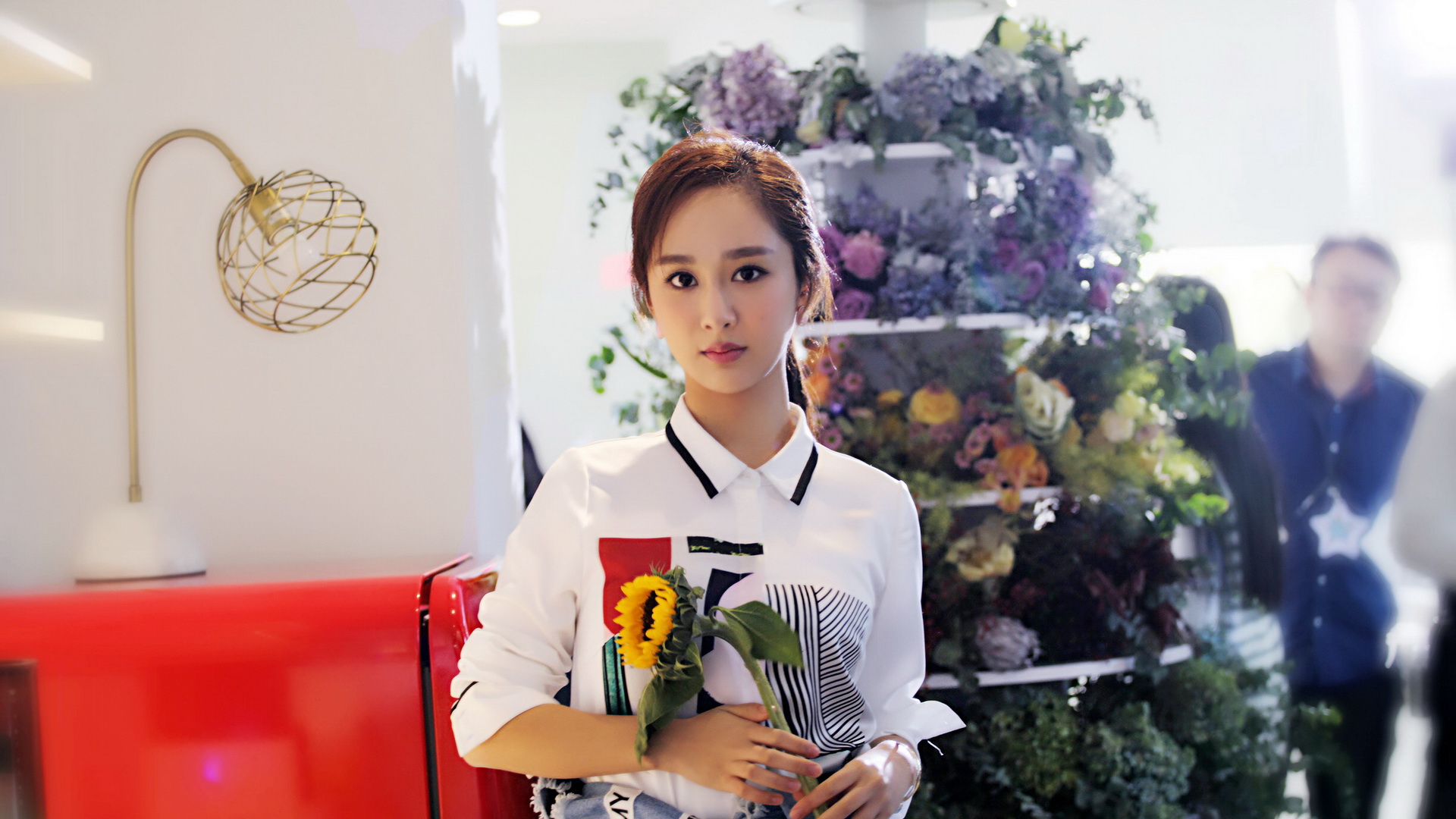 杨紫清新文艺美女壁纸，免费电脑桌面美图下载