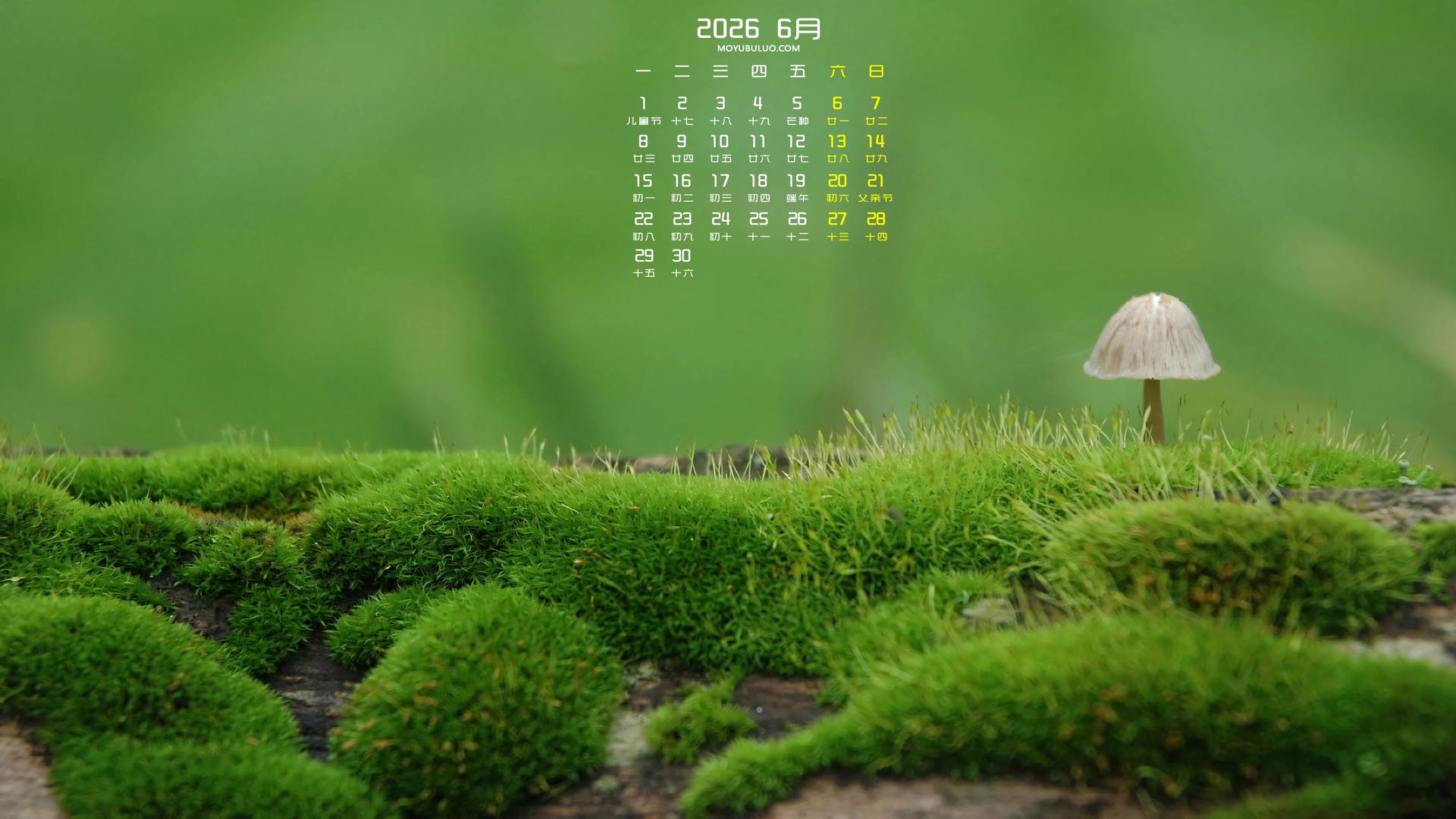 2026年6月绿色苔藓植物高清护眼日历电脑壁纸免费下载