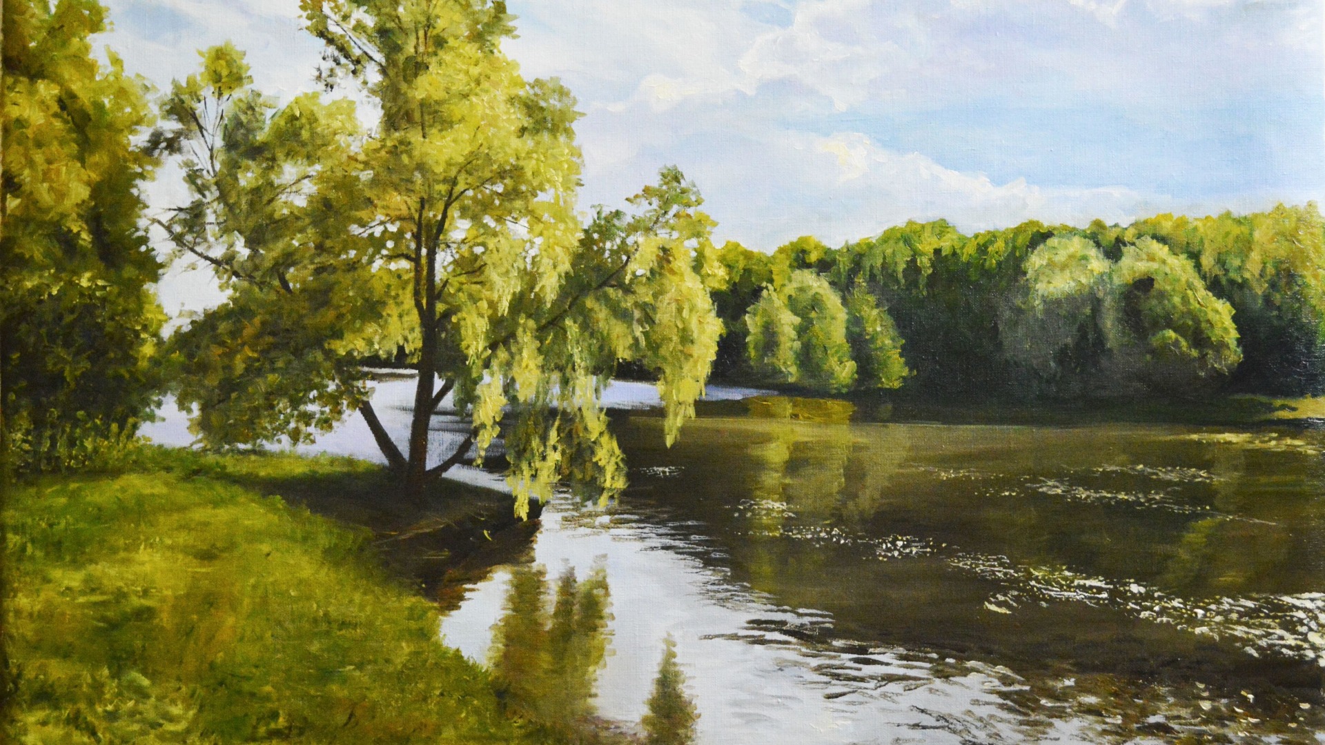 免费下载，丛林河水天空美景，高清桌面壁纸，自然风景画任选！