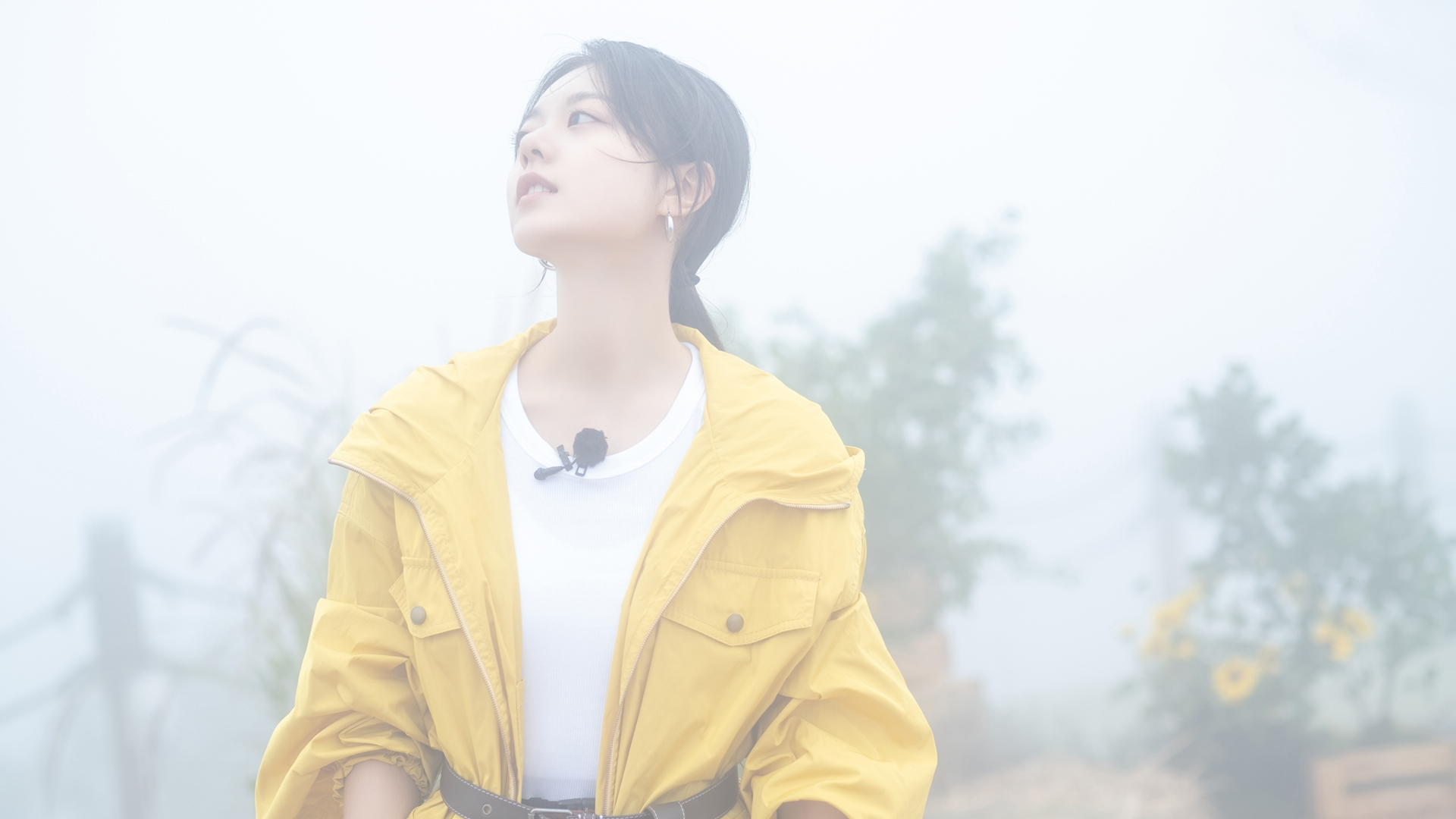 赵今麦超清美女壁纸，免费电脑版下载
