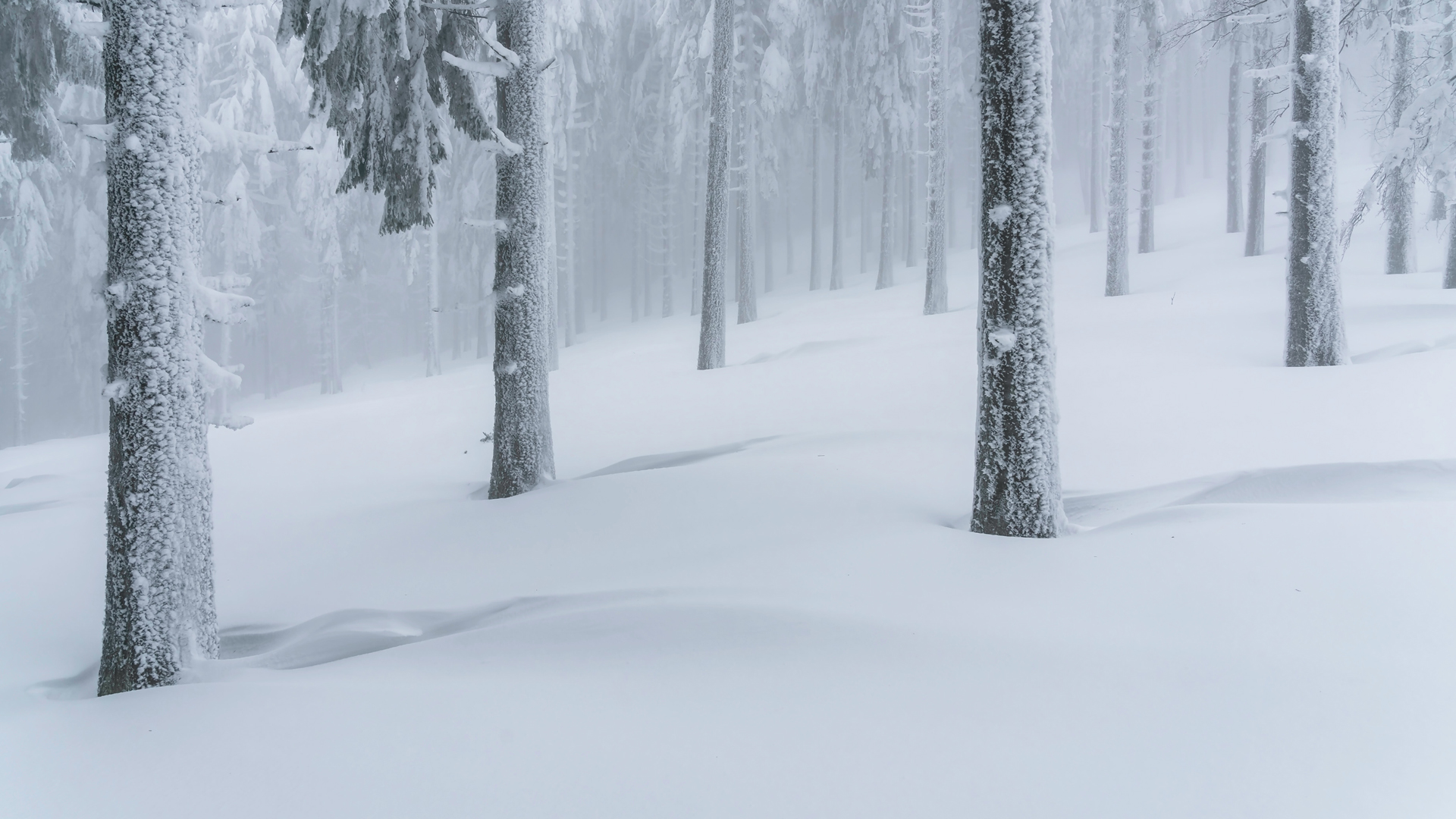 冬季大雪山景，树林披银装，高清风景壁纸免费下载