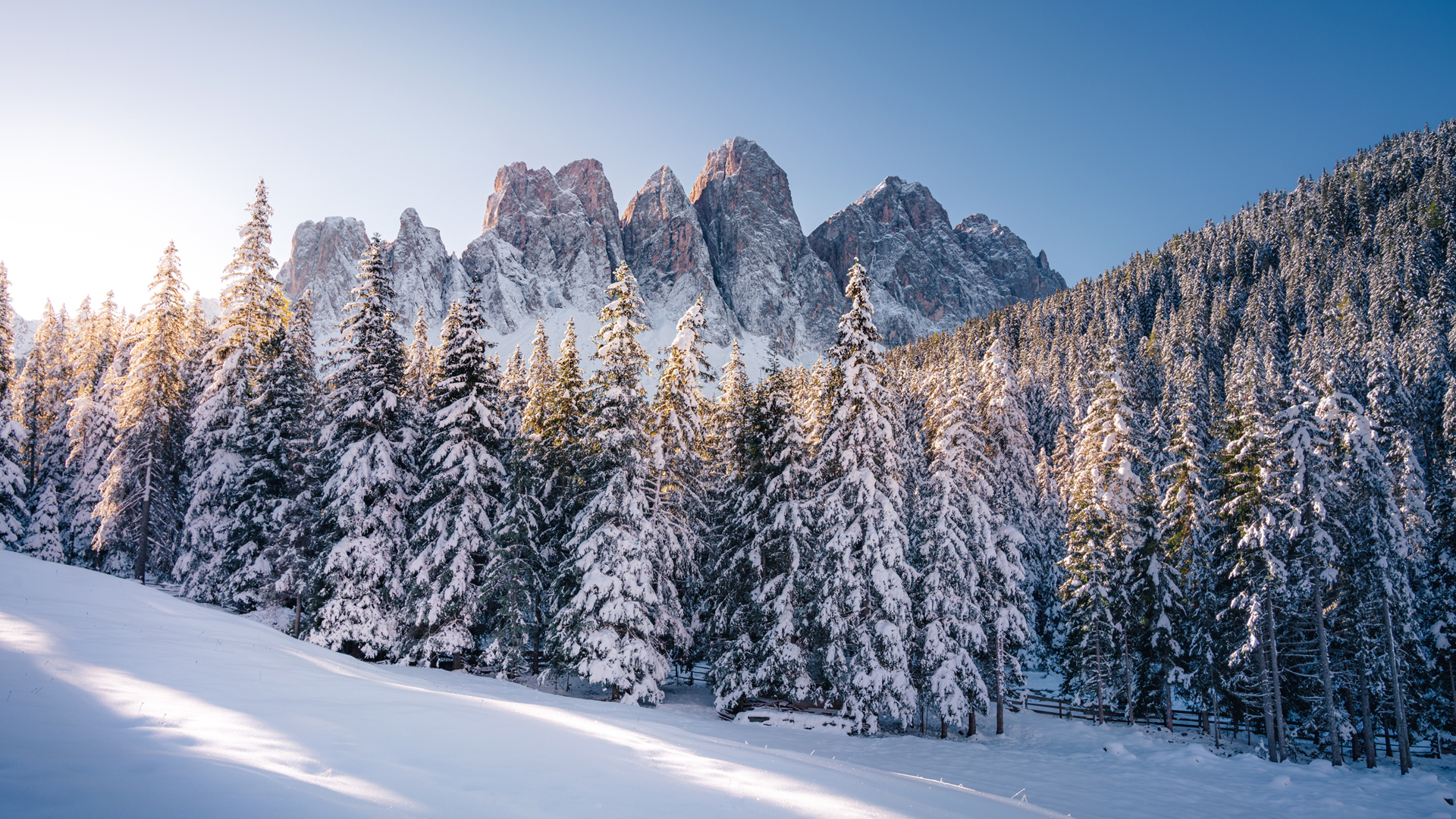 高山雪景，树林间的厚厚雪地，绝美风景壁纸免费下载
