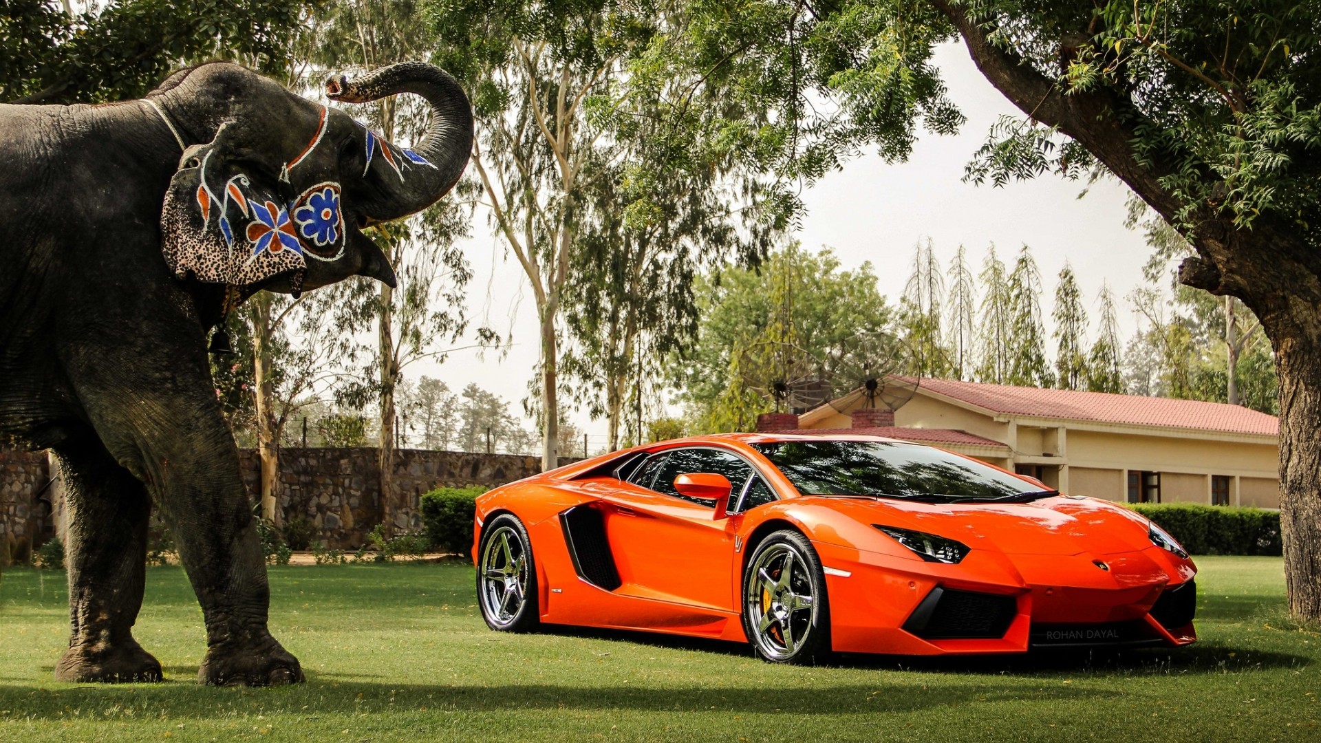 兰博基尼Aventador LP700-4橙色炫酷版，大象与风景壁纸，汽车主题电脑壁纸免费下载