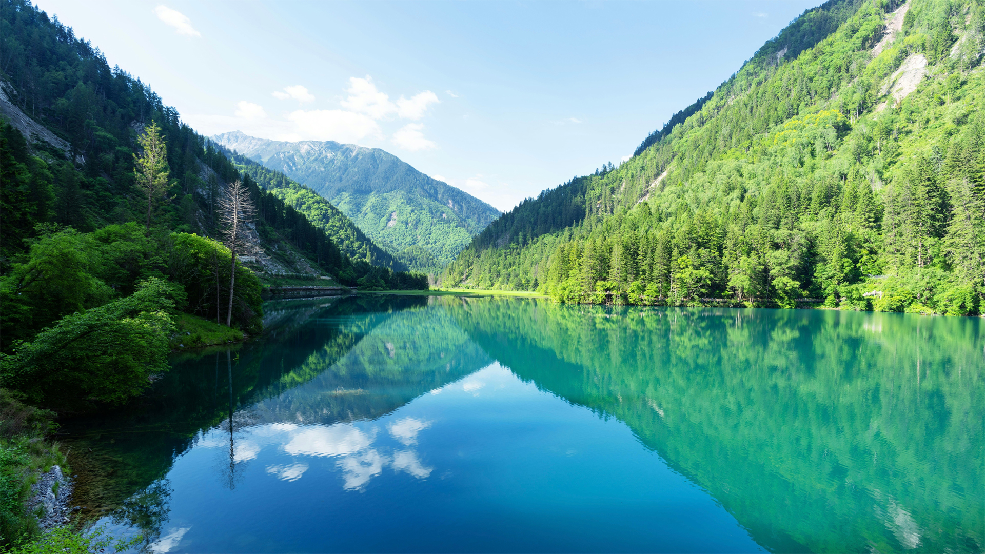 自然美景，河流树林山水倒影高清免费电脑桌面壁纸下载