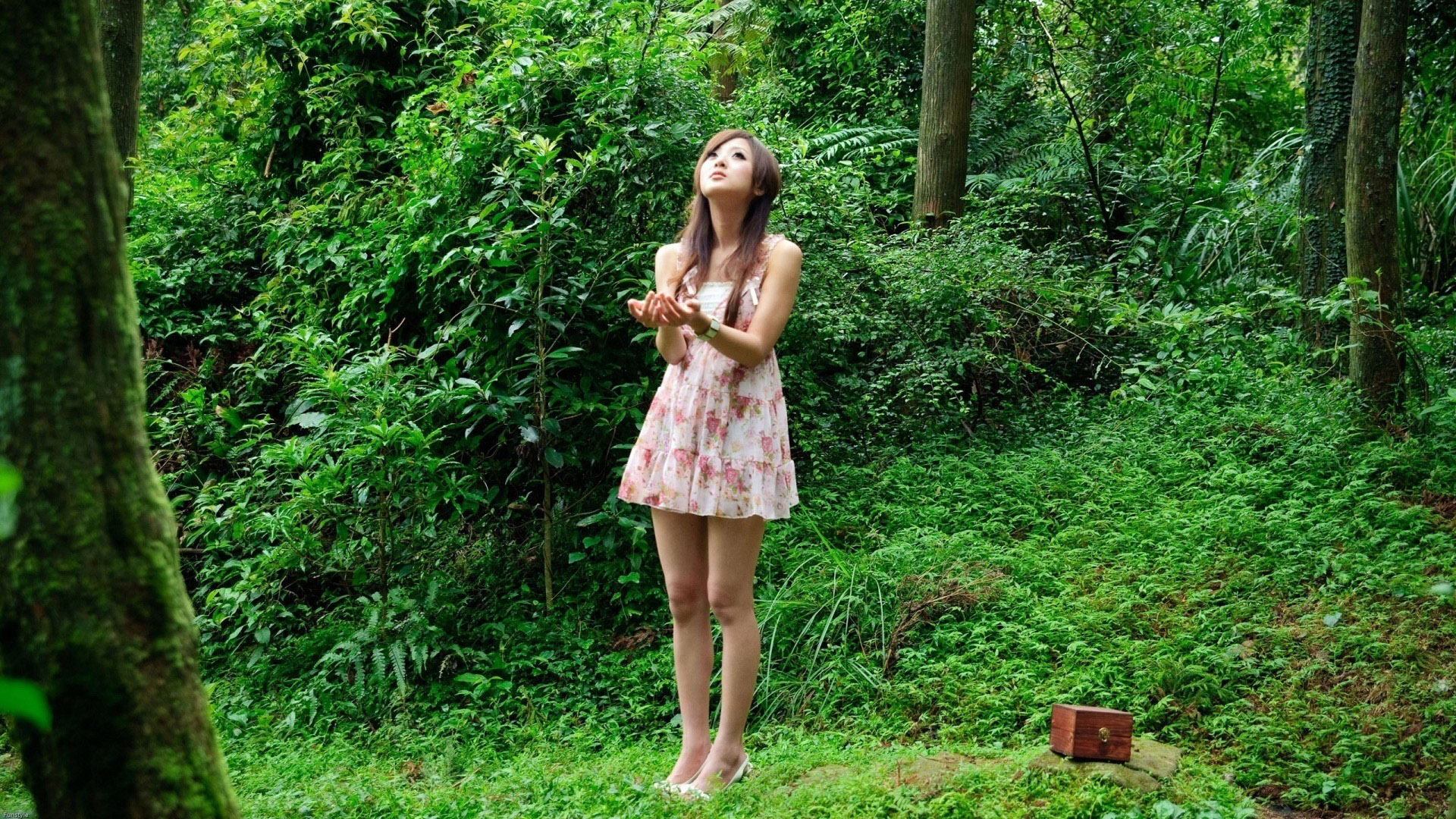 自然森林背景，张凯洁美女壁纸，手捧果子mm，免费桌面壁纸下载