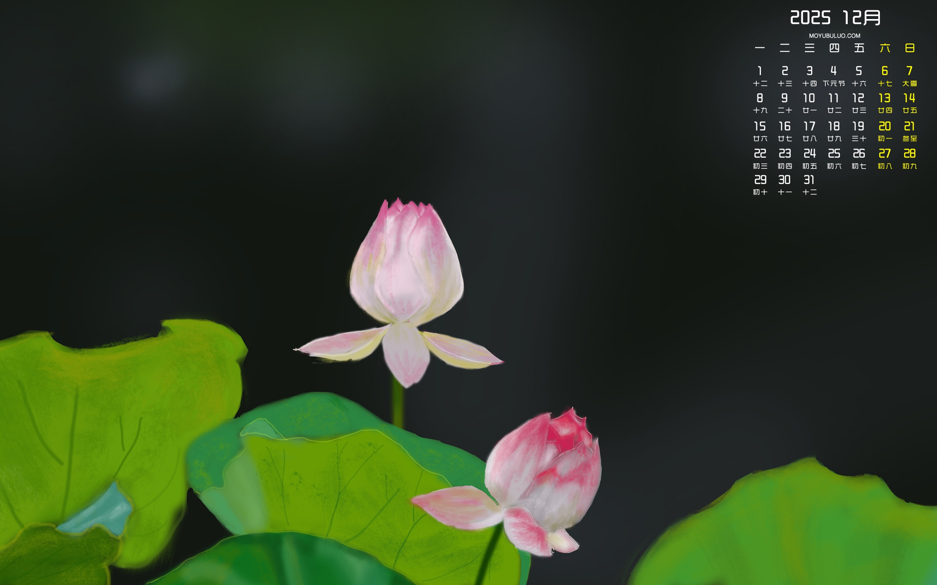 2025年12月墨鱼部落格原创手绘荷花高清日历桌面壁纸，免费电脑壁纸下载