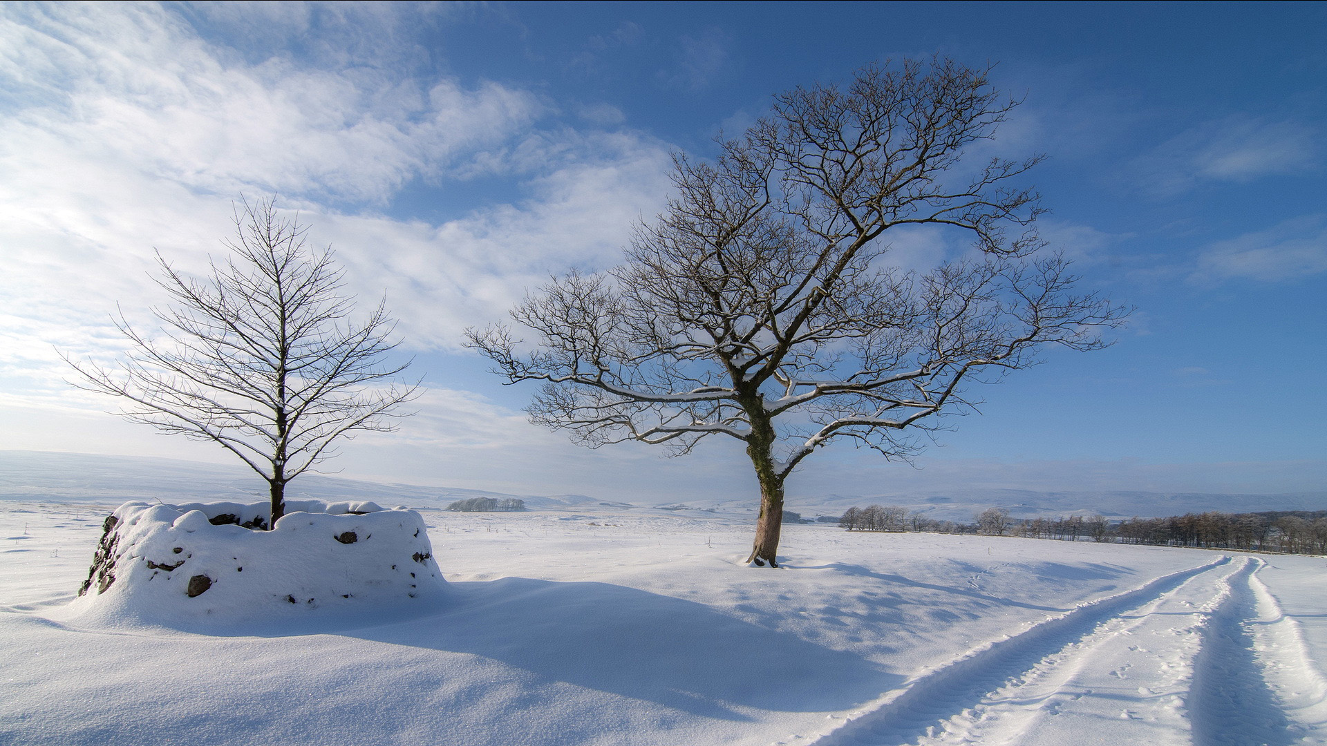 冬日雪景壁纸，白茫茫雪地与道路美景，免费电脑桌面背景下载