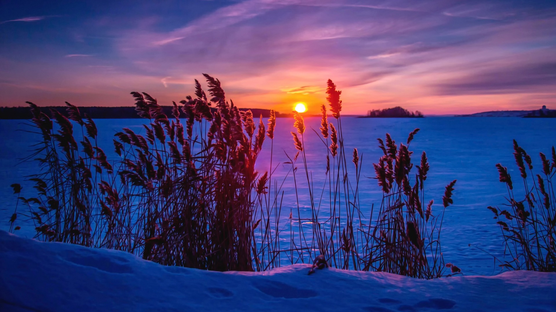 冬日雪景夕阳，冷艳壁纸，免费下载，装点你的电脑桌面