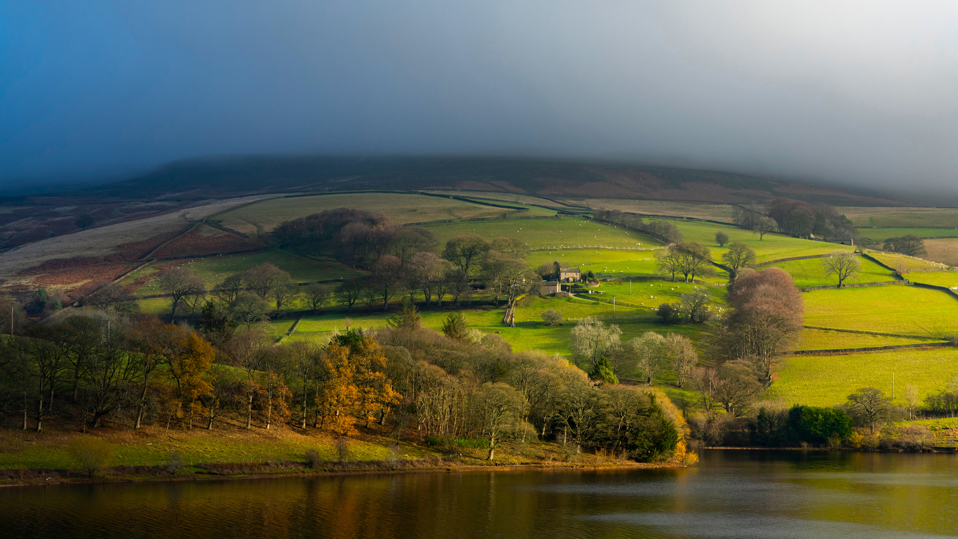 早晨农场田野河流房屋绵羊山丘树林全屏风景电脑壁纸免费下载