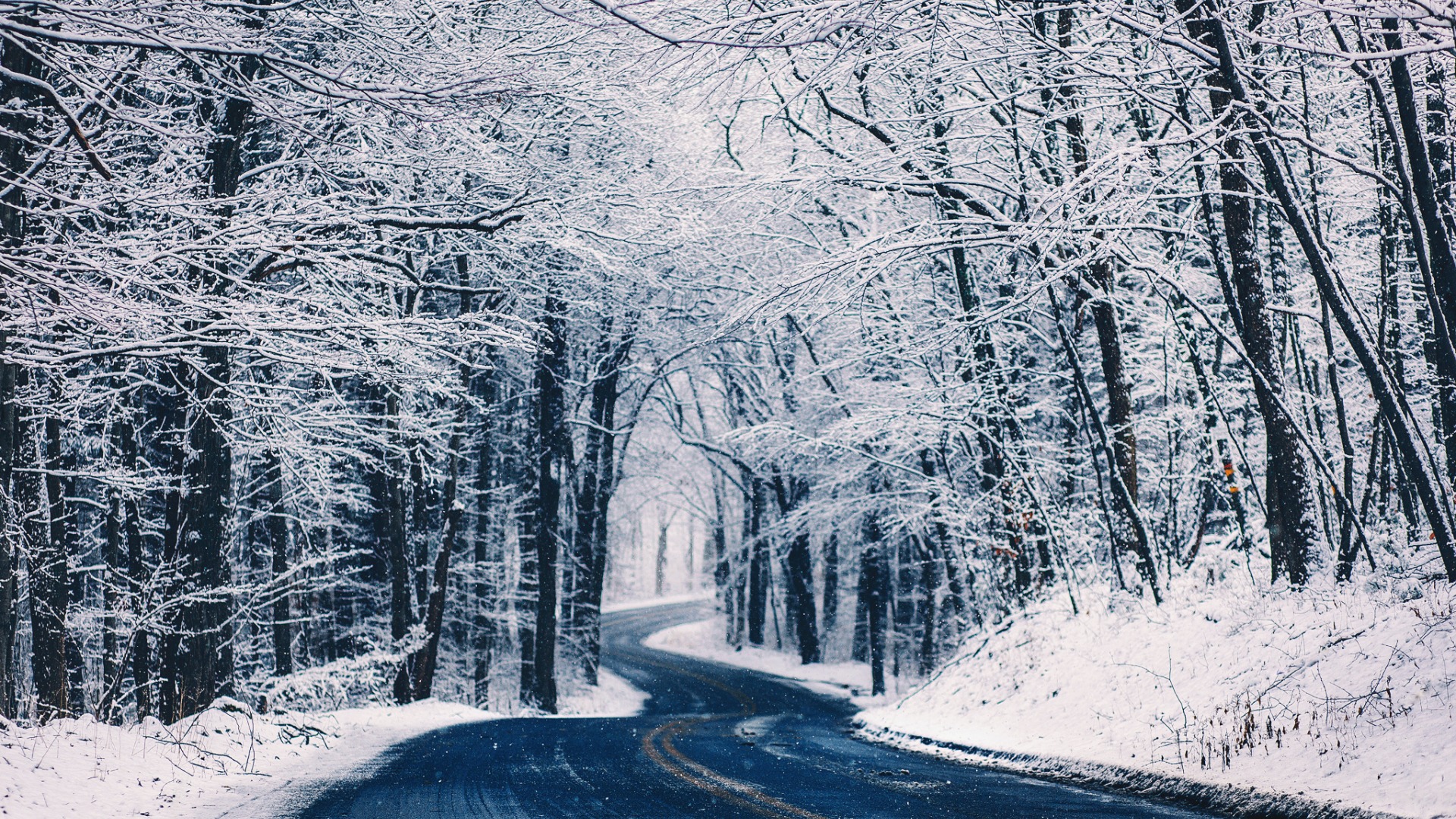 冬季雪天森林道路树木自然美景，高清桌面壁纸免费下载