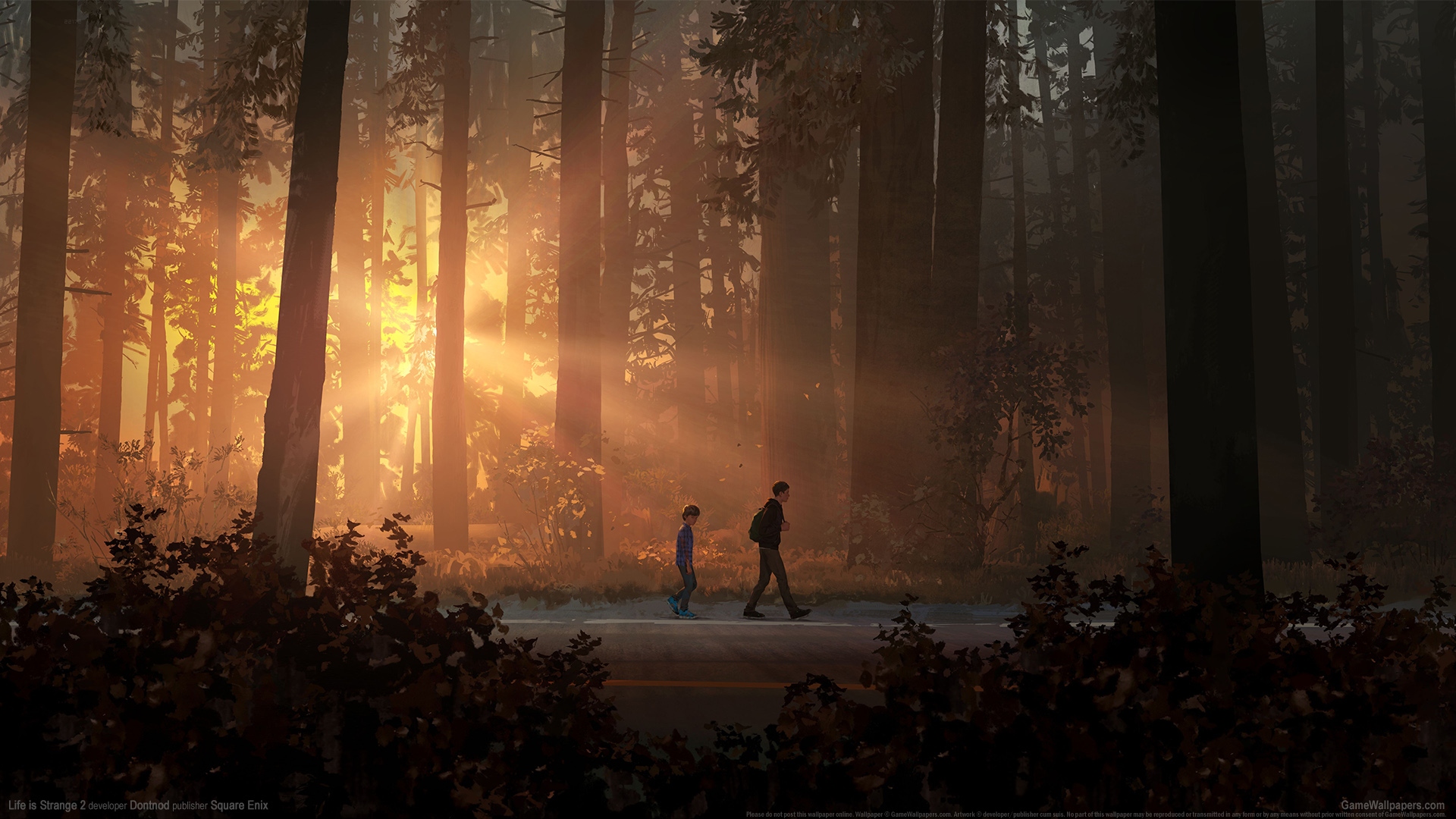 《Life is Strange 2》精选游戏壁纸，免费电脑壁纸一键下载
