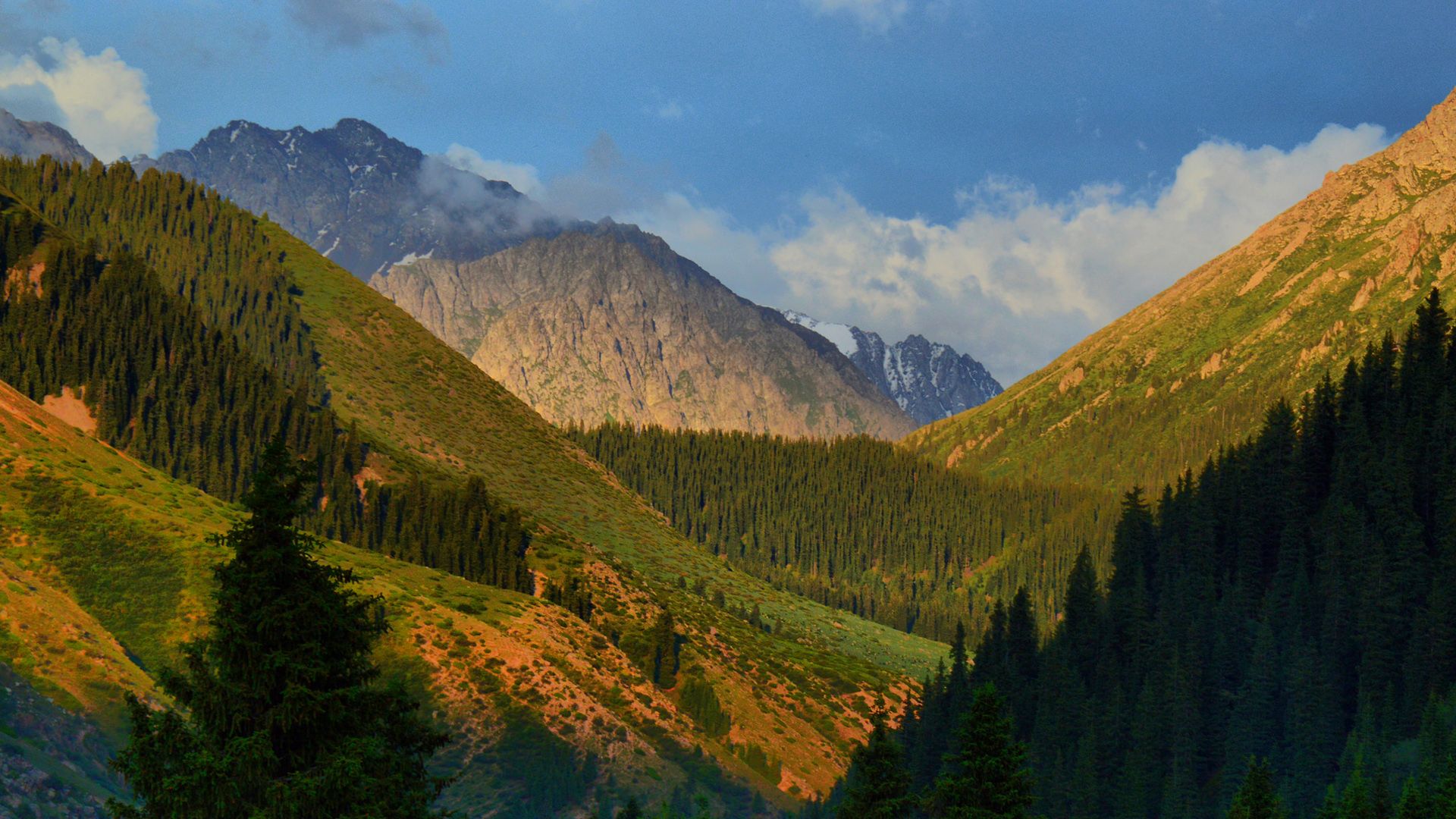 吉尔吉斯斯坦自然美景，峡谷、高山与树木，免费电脑壁纸下载
