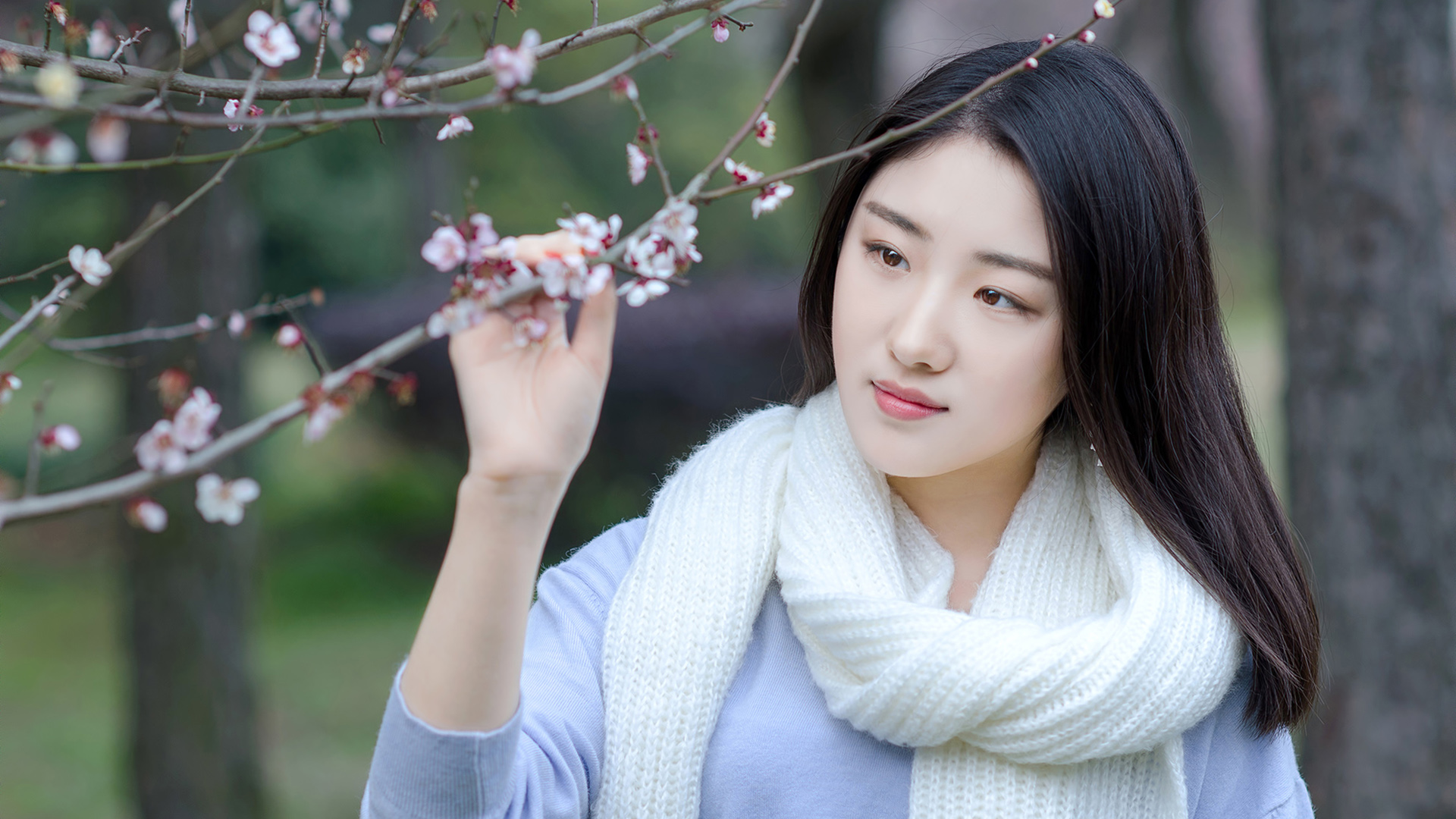 梅花香 梅花下的长发围巾清纯美女桌面壁纸