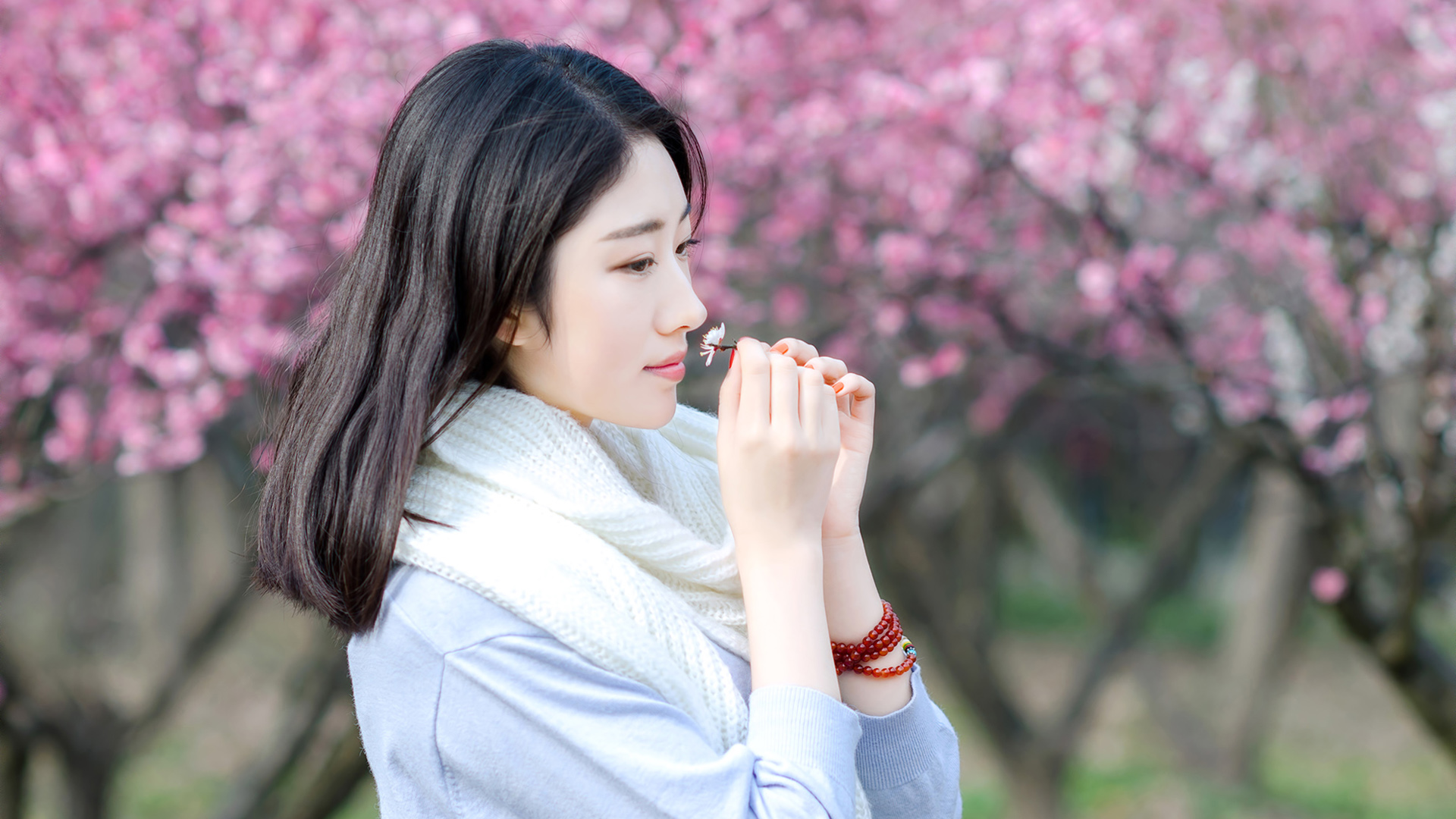 清纯美女壁纸大赏，梅花园林风光，精选桌面壁纸免费下载