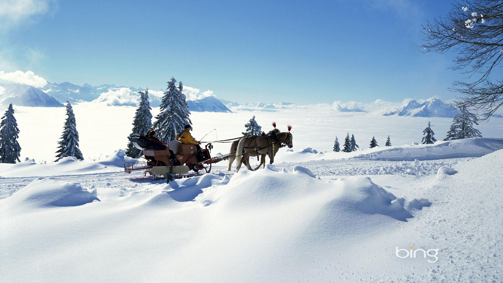 Windows 7 Bing官方主题宽屏雪天风景桌面壁纸