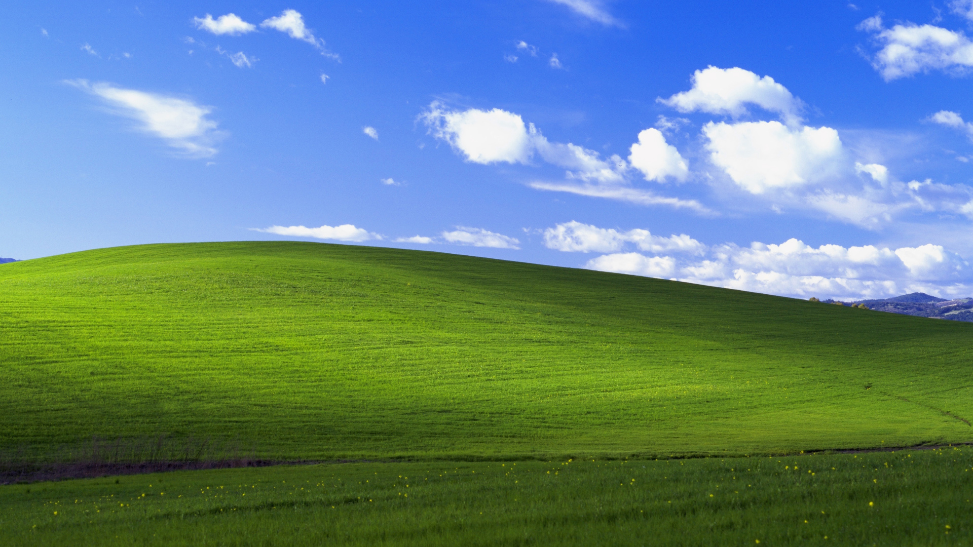 蓝天白云绿草地美景，经典Windows XP桌面壁纸，免费下载尽享自然风情