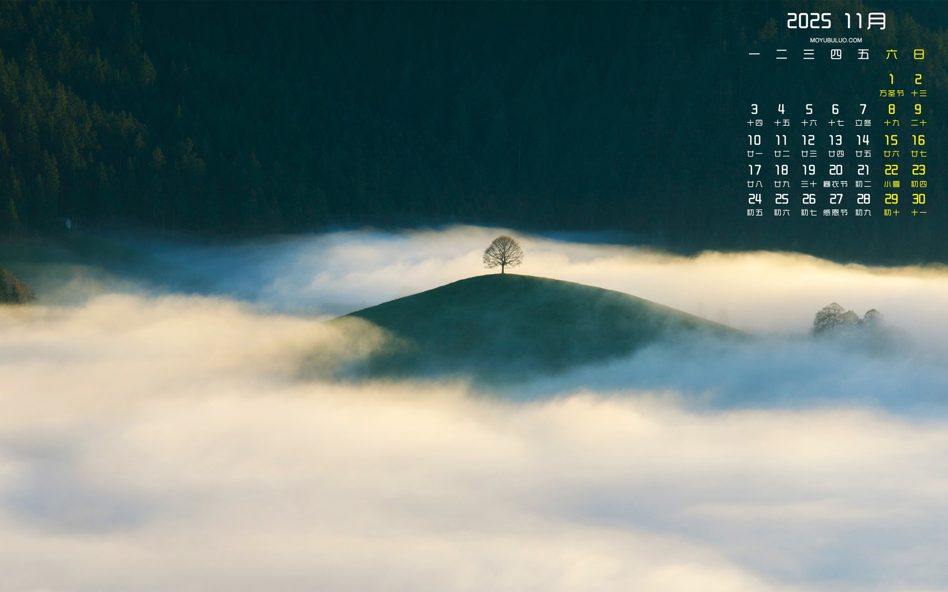 2025年11月森林山丘风景日历壁纸，免费下载电脑桌面用