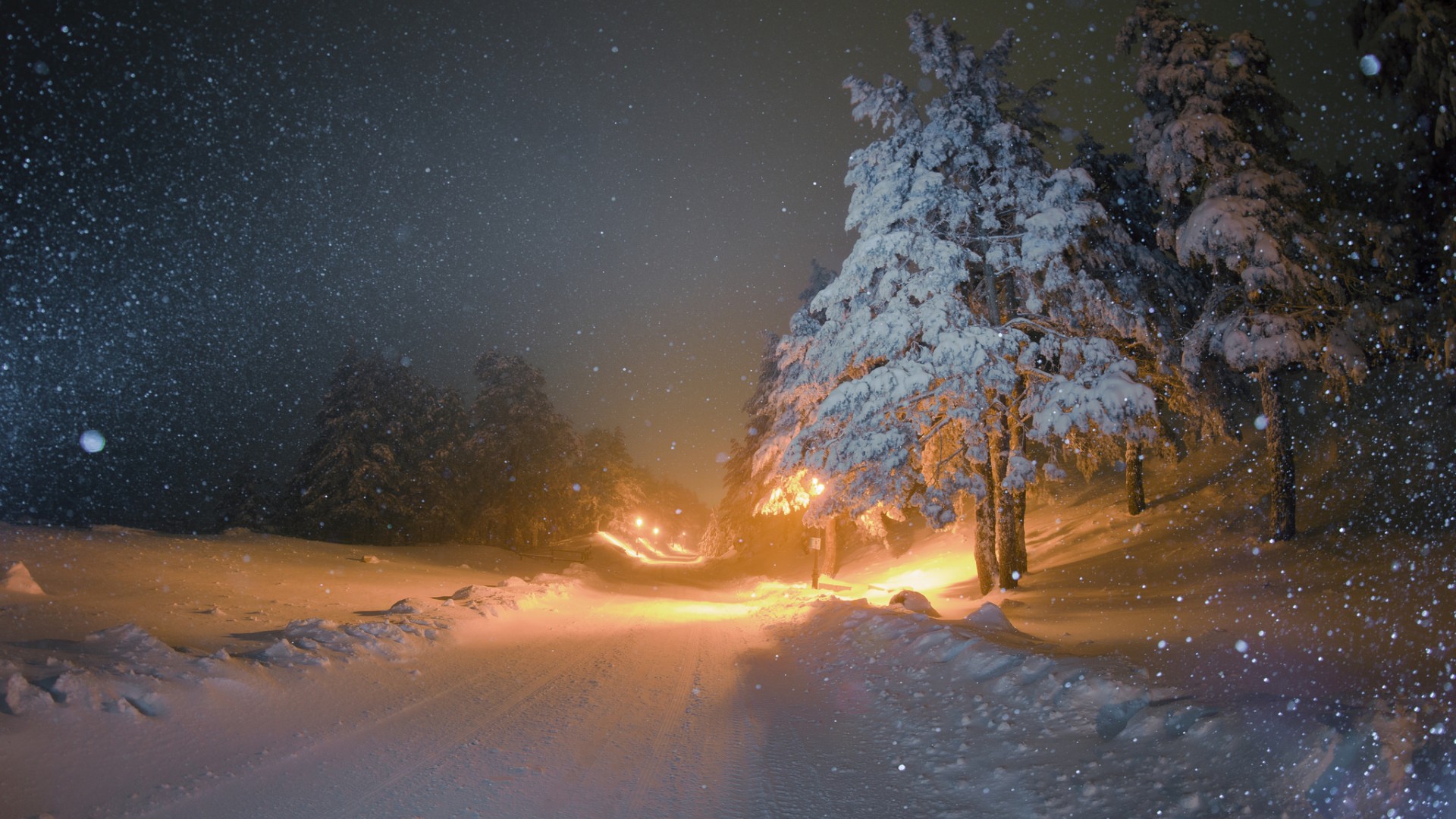 冬日雪夜，雪树映路灯，免费高清桌面壁纸下载