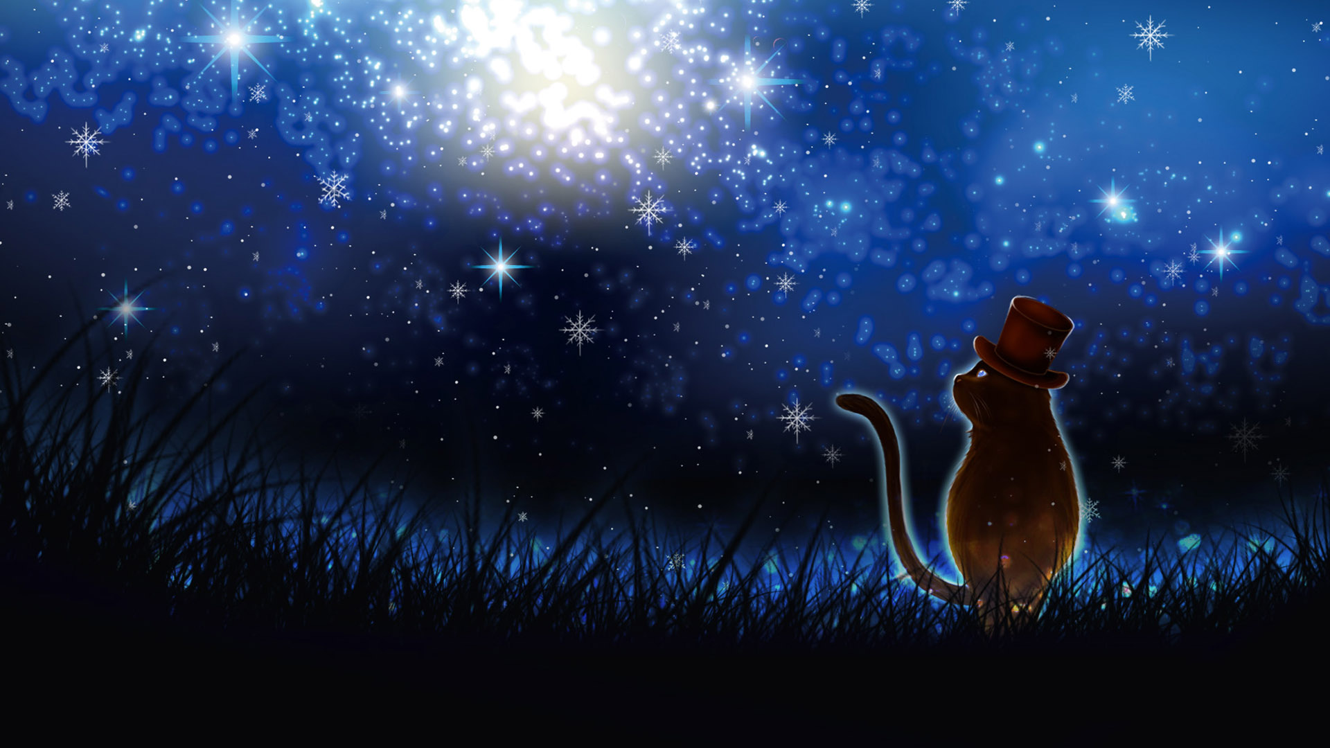猫的梦幻期待，精选唯美桌面壁纸，免费下载电脑版