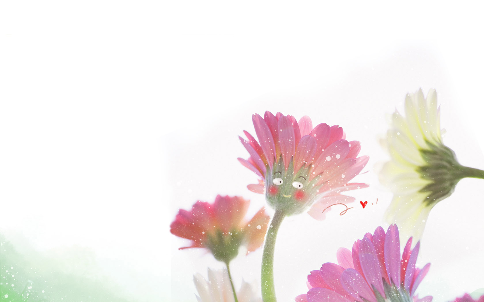 花卉桌面壁纸精选，免费高清电脑壁纸下载