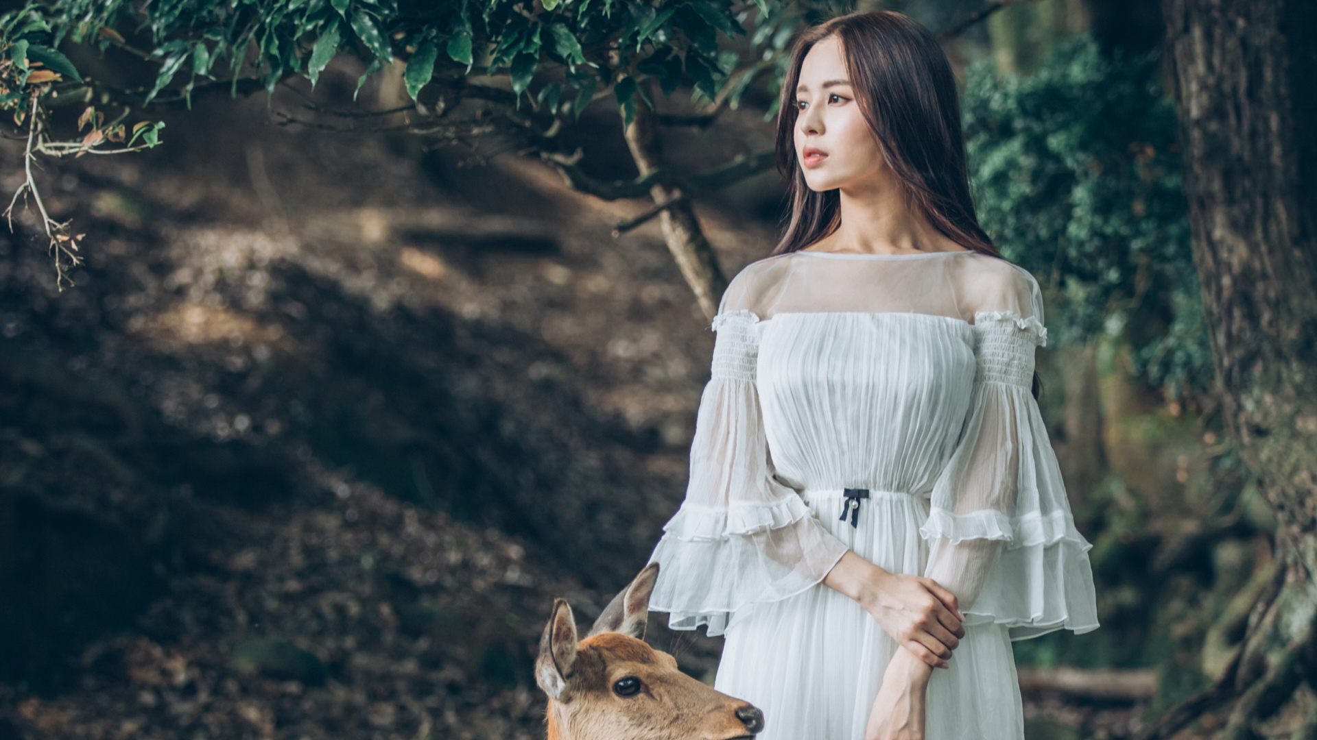 自然树林中的清纯白裙美女，温心桌面壁纸，免费高清下载