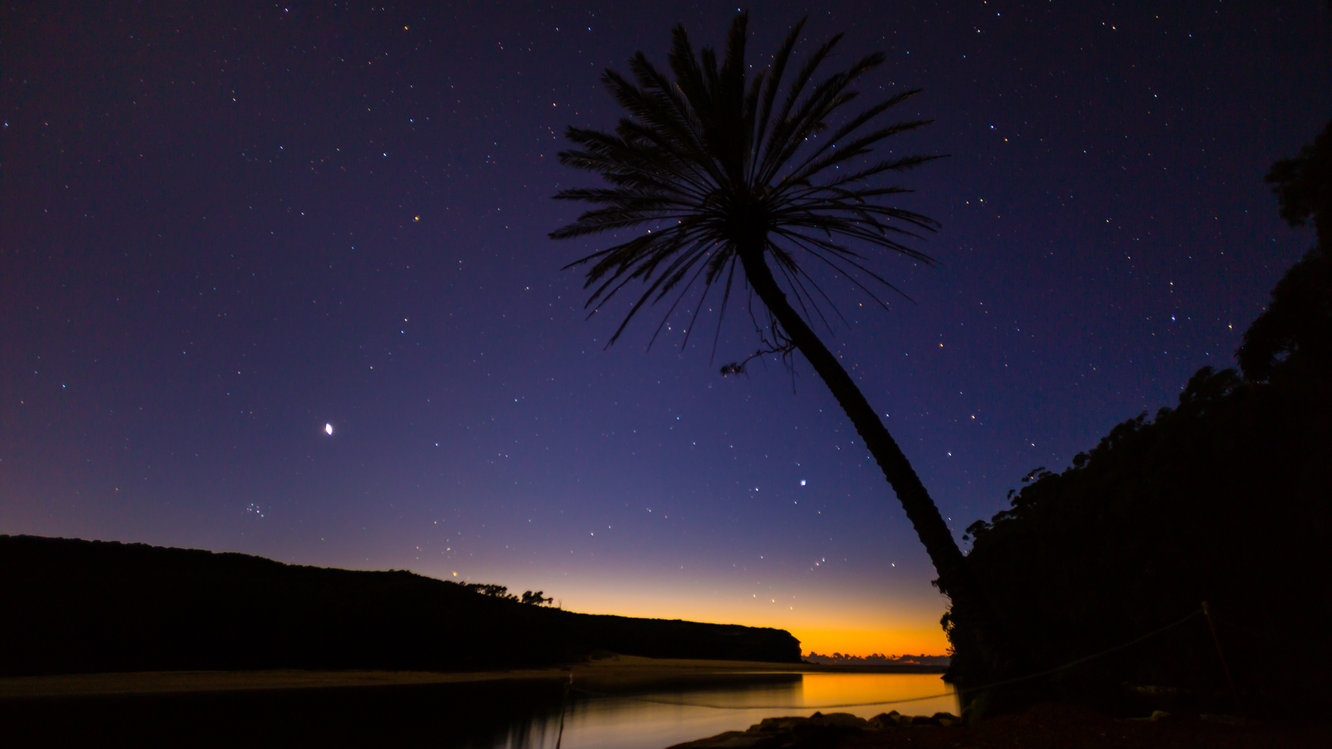 树和星星 wattamolla海滩风景壁纸