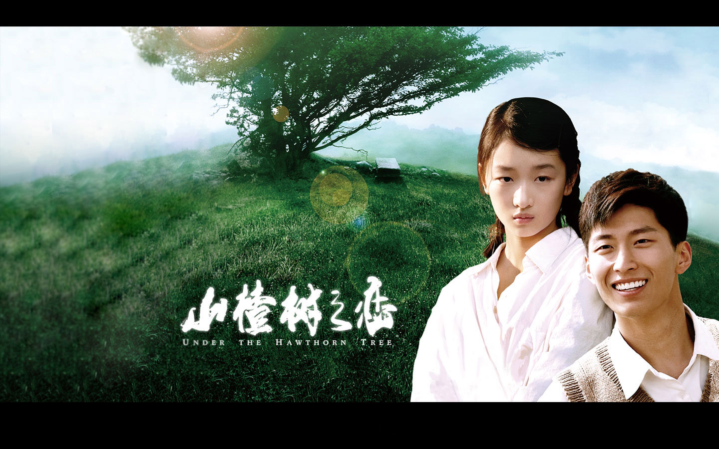 山楂树之恋，绝美桌面壁纸免费下载，畅享影视风情！