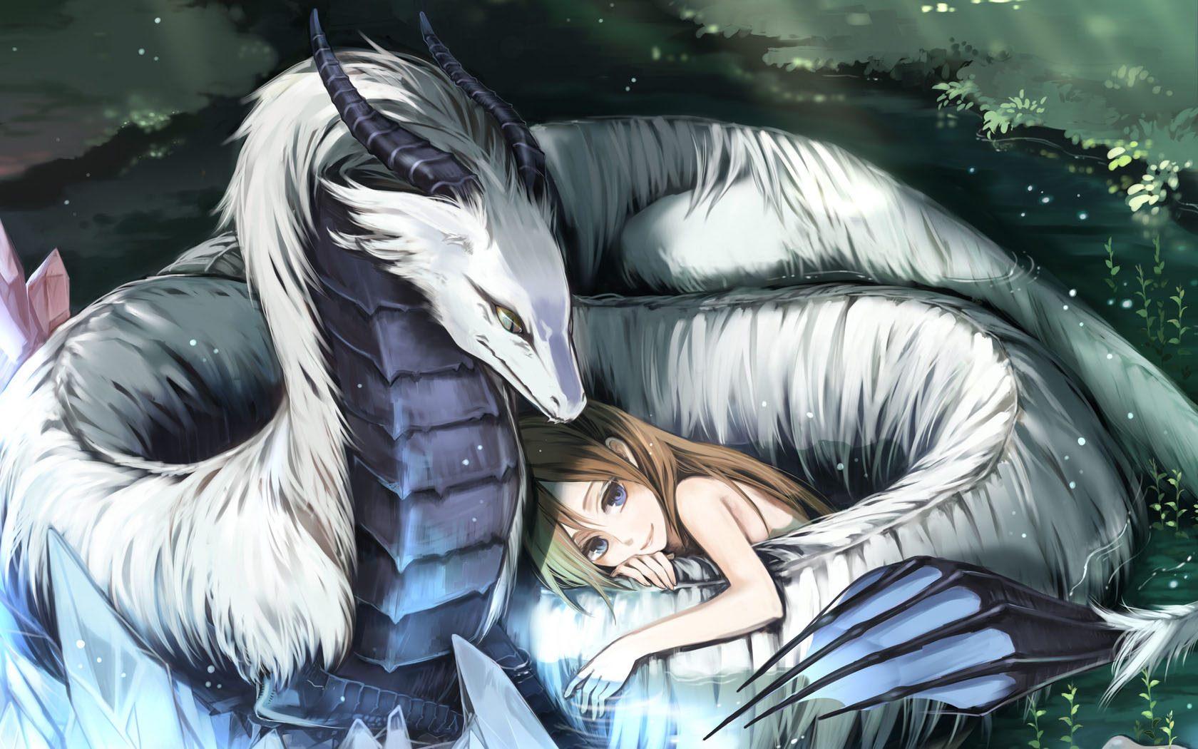 神龙少女梦幻动漫，精选桌面背景壁纸，免费下载畅享
