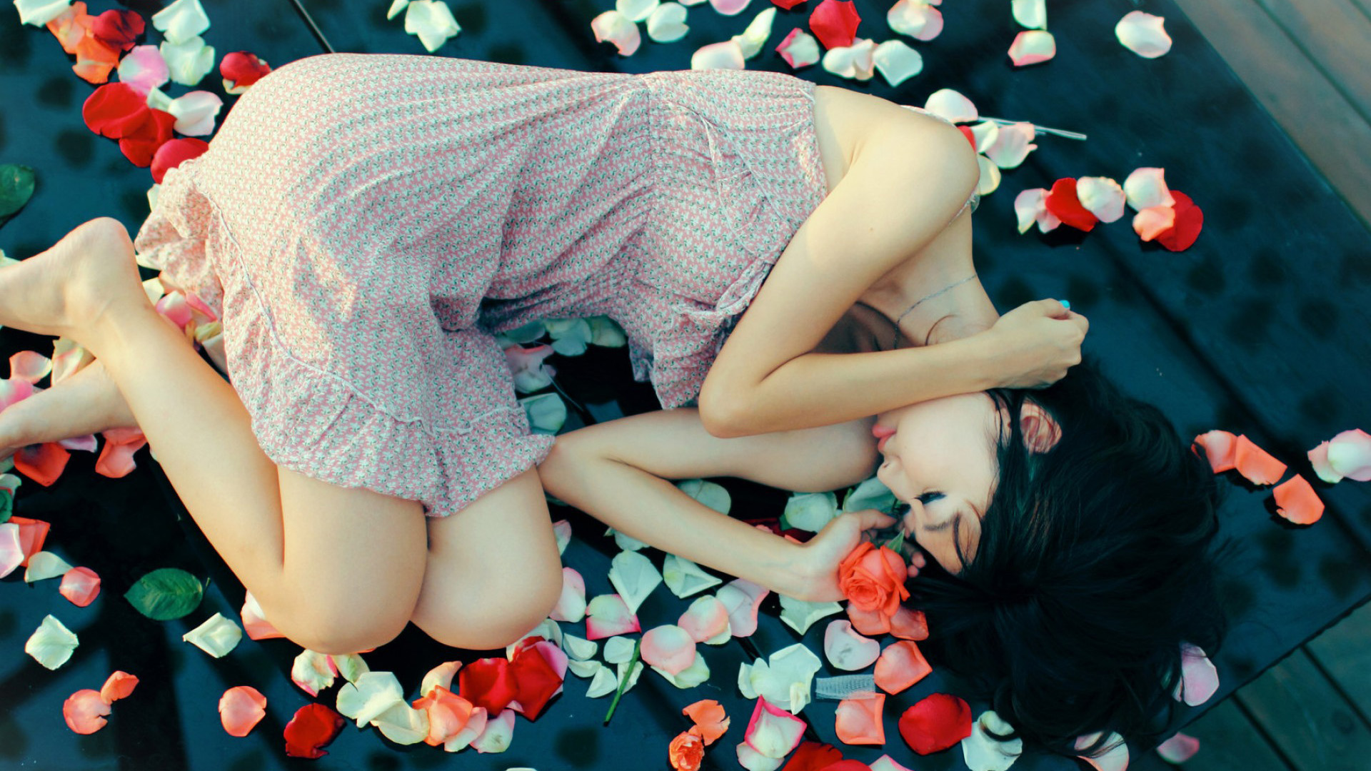 睡在花瓣上的美女桌面壁纸