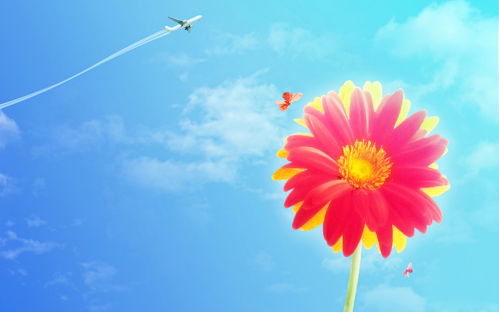 免费下载微笑太阳花桌面壁纸，精选花卉电脑背景图