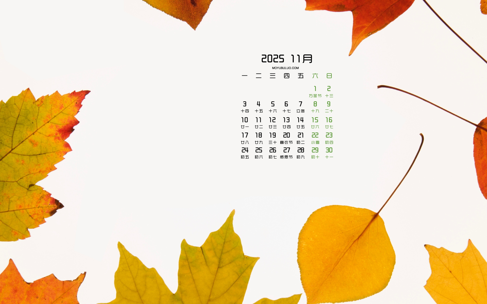秋叶主题2025年11月免费电脑日历壁纸高清下载