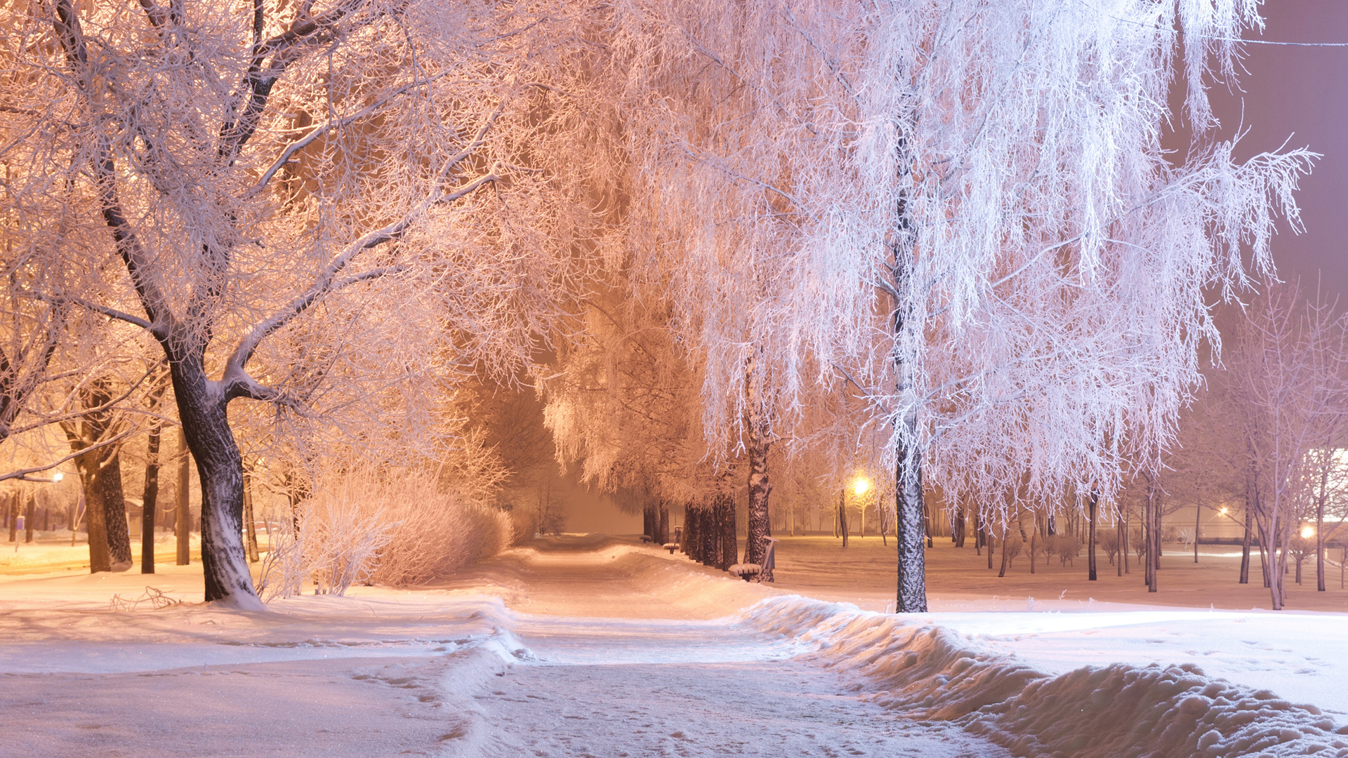 冬日雪夜公园巷景，灯光映雪，树木披银，绝美壁纸免费下载