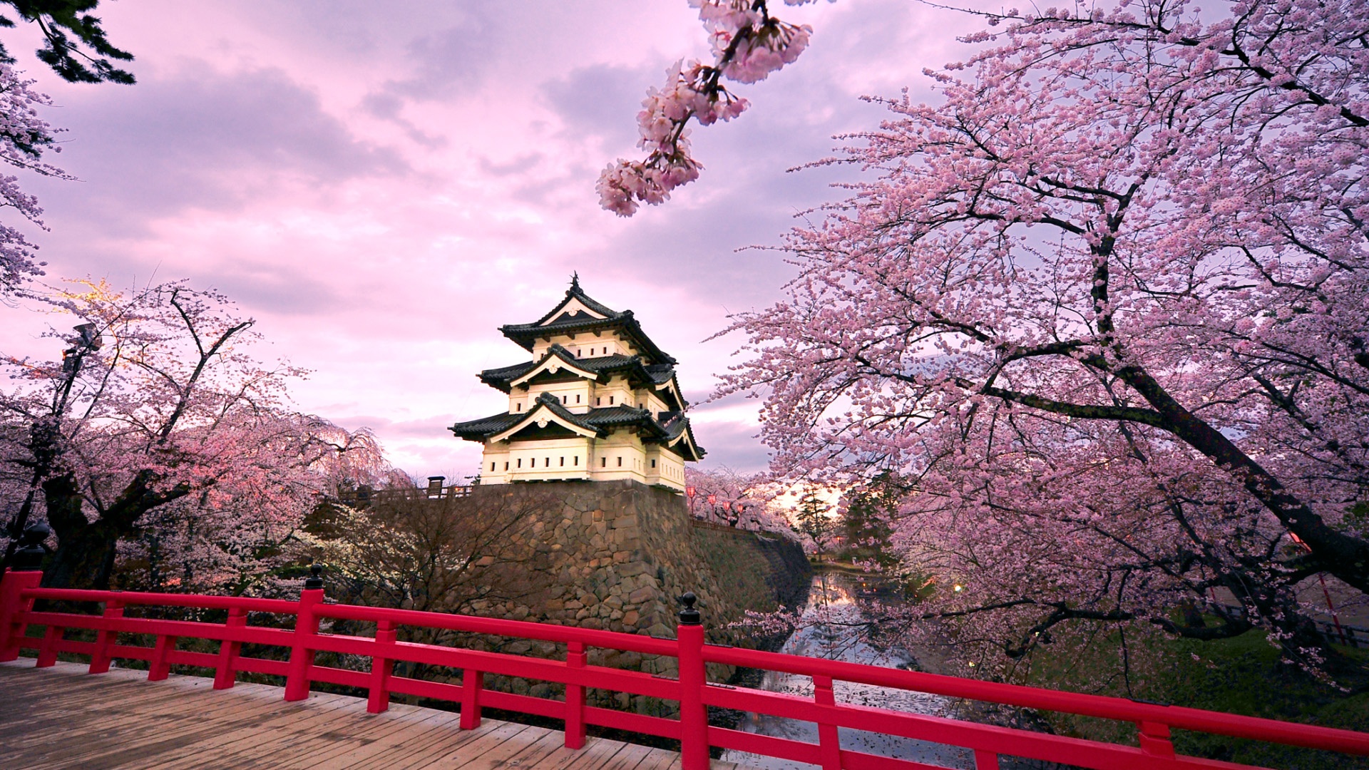 日本弘前城樱花盛景，绝美风景壁纸，免费下载装点你的电脑桌面