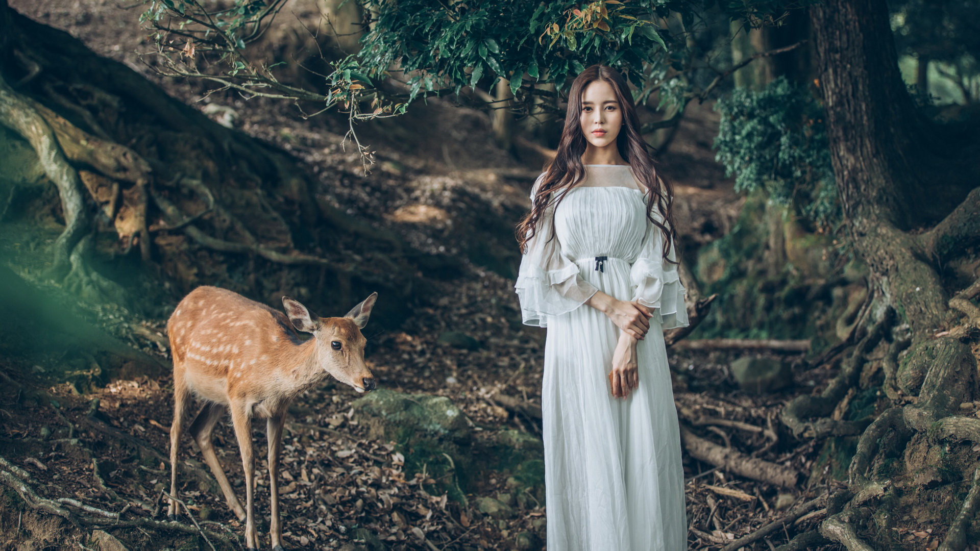 自然森林梅花鹿美景，温心美女桌面壁纸免费下载