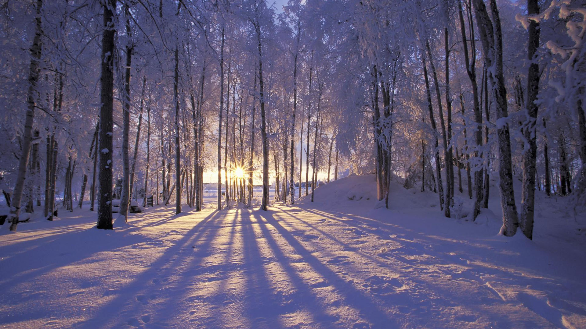 浪漫雪景电脑壁纸，免费下载绝美风景，装点你的桌面！
