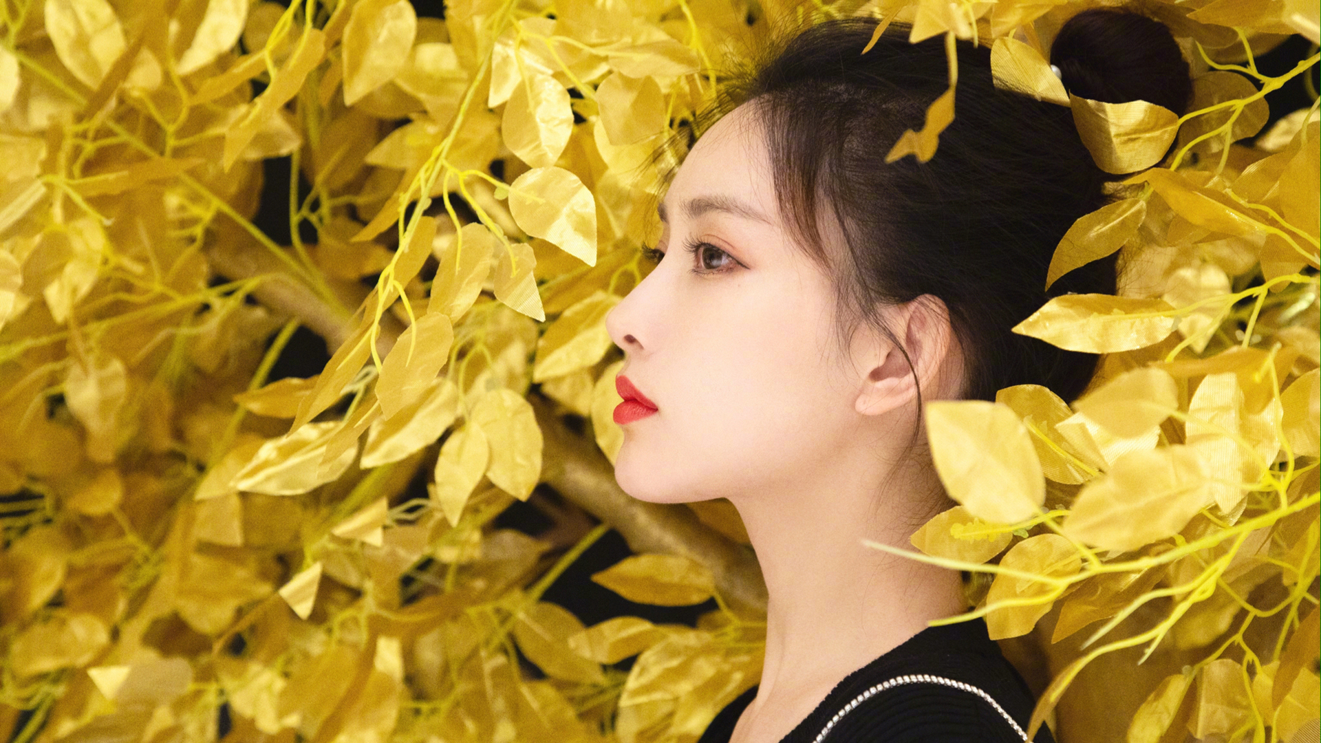 孟子义高清美女壁纸，免费电脑版下载