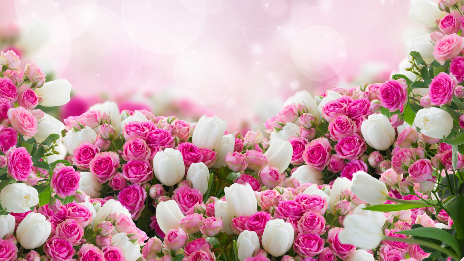 玫瑰郁金香花叶花卉高清桌面壁纸，免费电脑壁纸下载