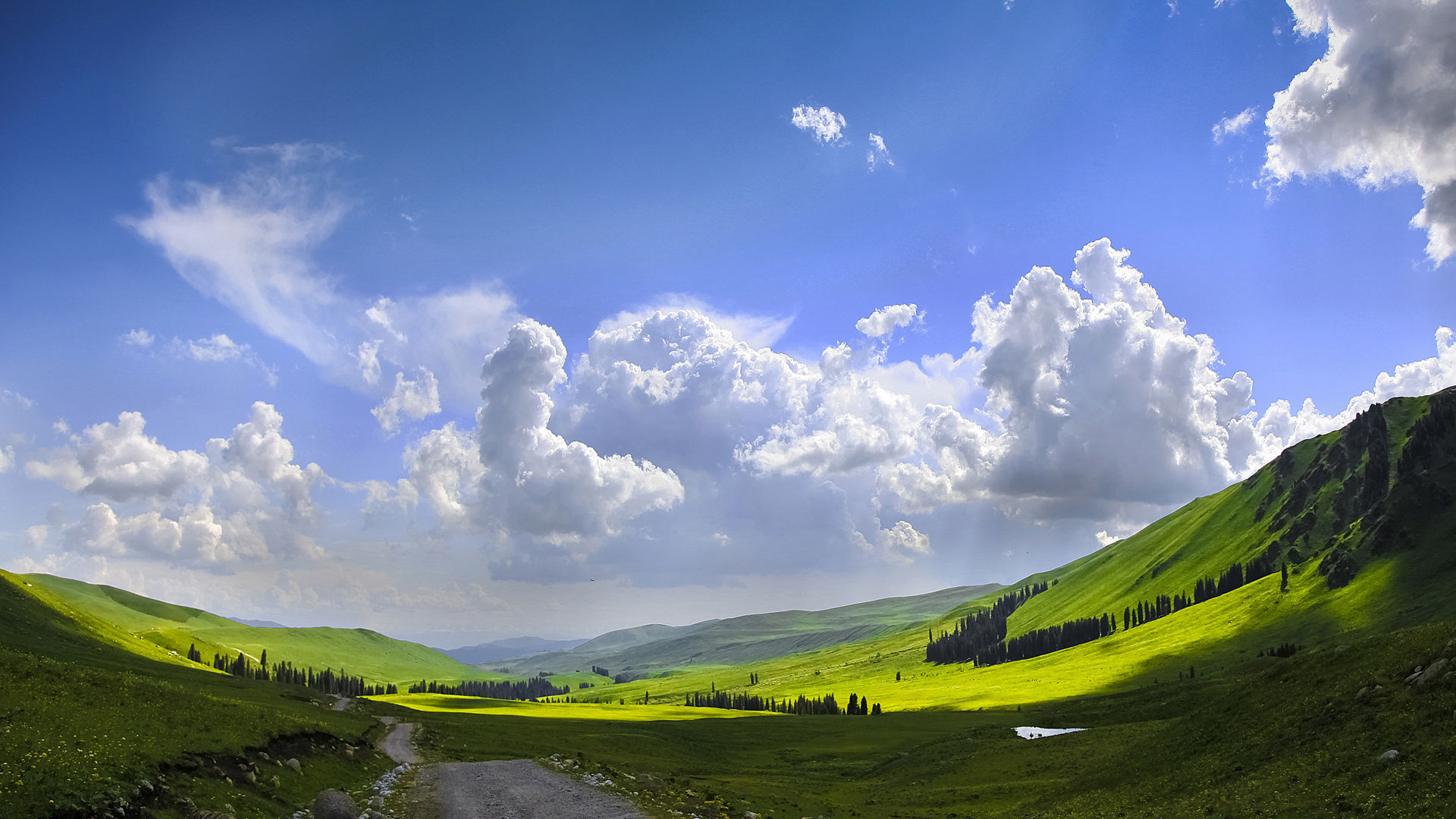 美丽的蓝天草原新疆风景2K桌面壁纸