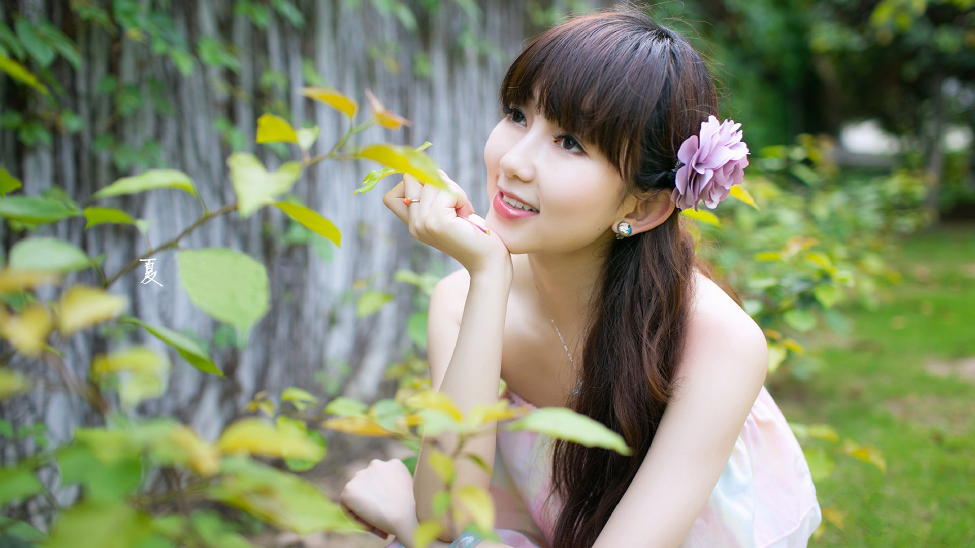 花开花落，清新养眼美女壁纸大赏，免费电脑壁纸下载