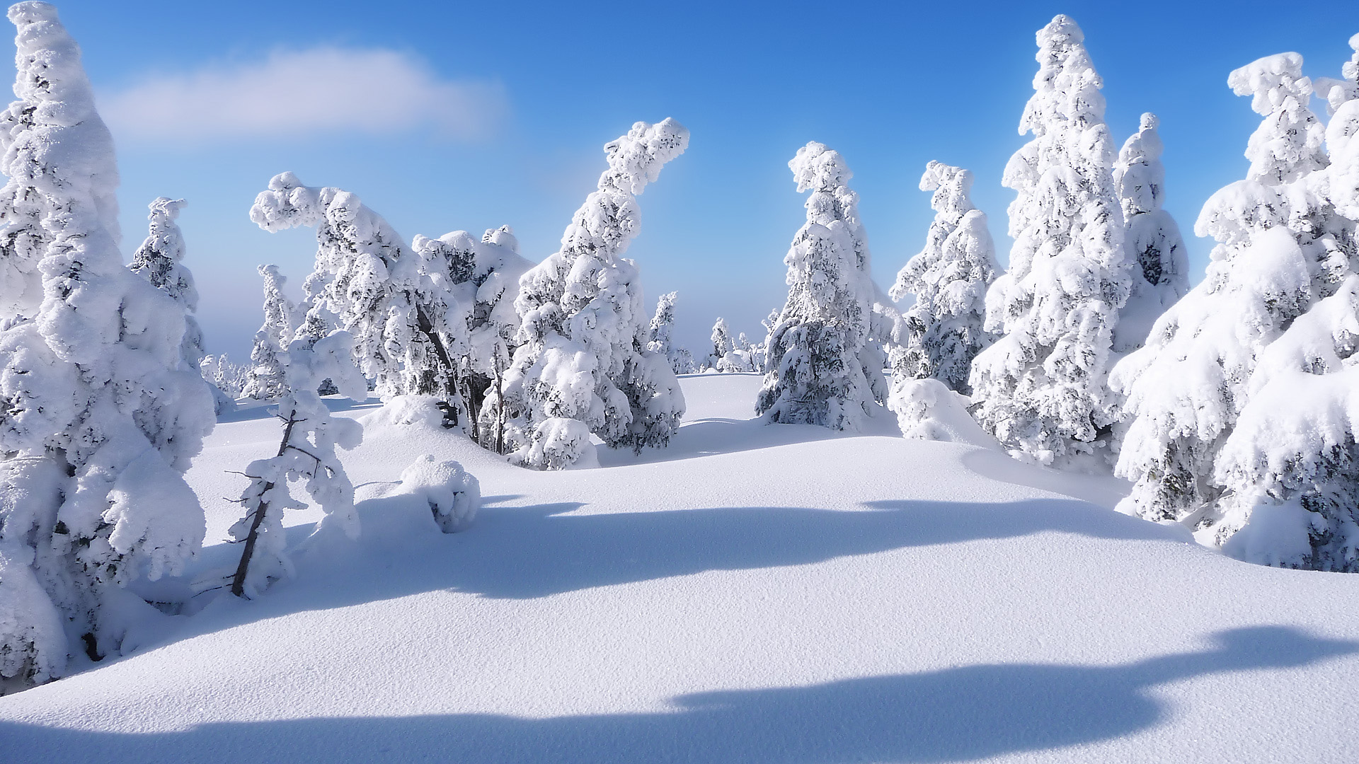白雪皑皑美景壁纸，免费电脑桌面背景下载