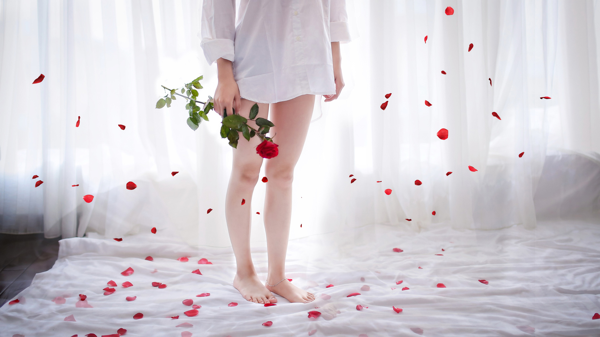 女孩与玫瑰，唯美床上花瓣桌面壁纸，免费下载
