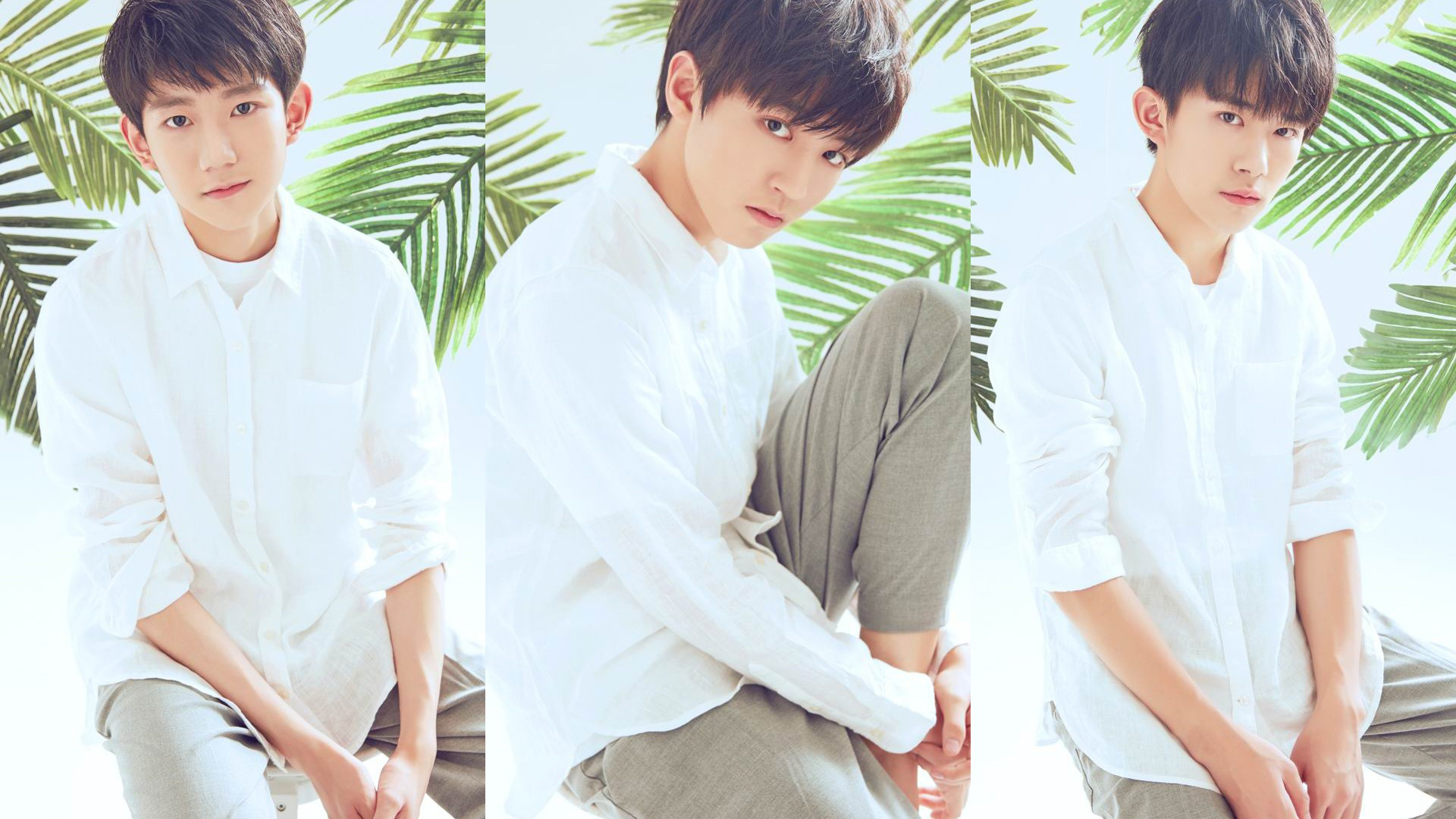 TFBOYS白衬衫桌面壁纸，免费人物电脑壁纸高清下载