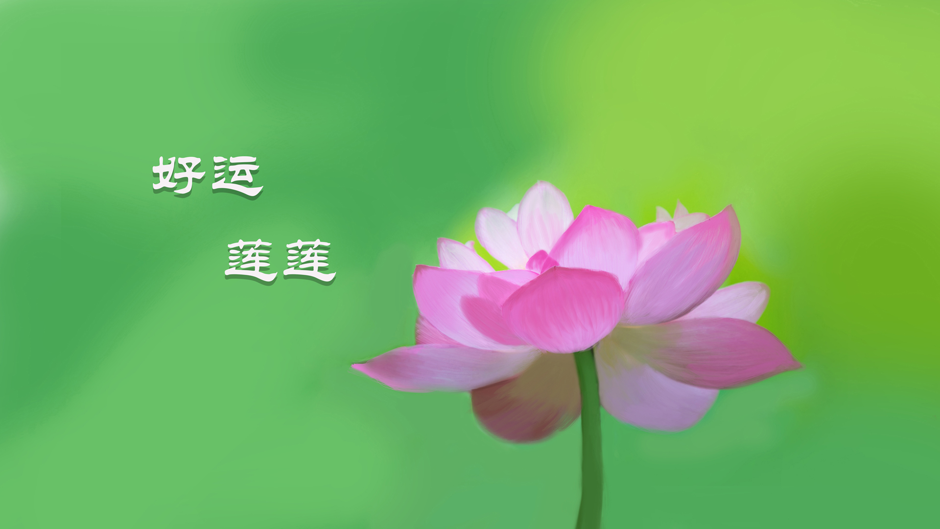 好运莲莲，手绘荷花清新护眼壁纸，高清花卉电脑壁纸免费下载