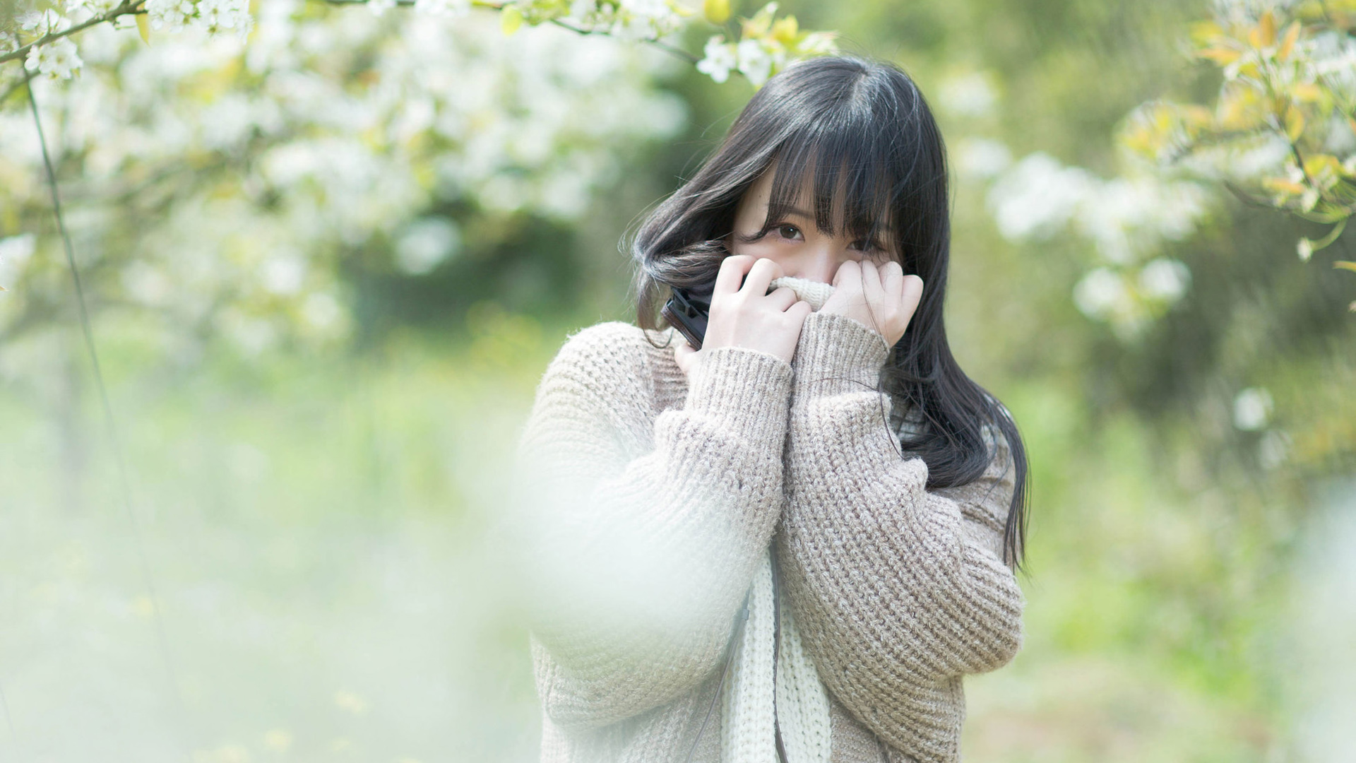 花开花落，甜美长发美女桌面壁纸精选，免费高清下载