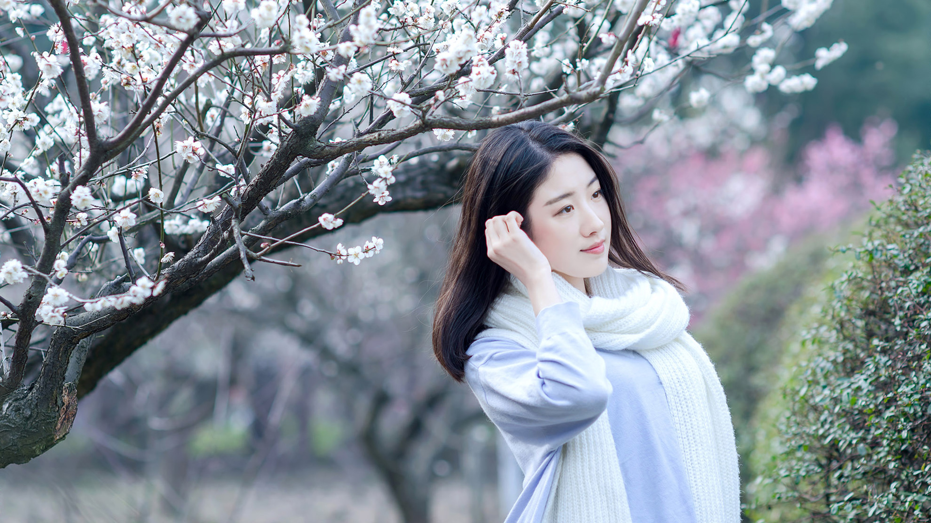 清纯长发文艺美女赏梅壁纸，免费电脑背景下载