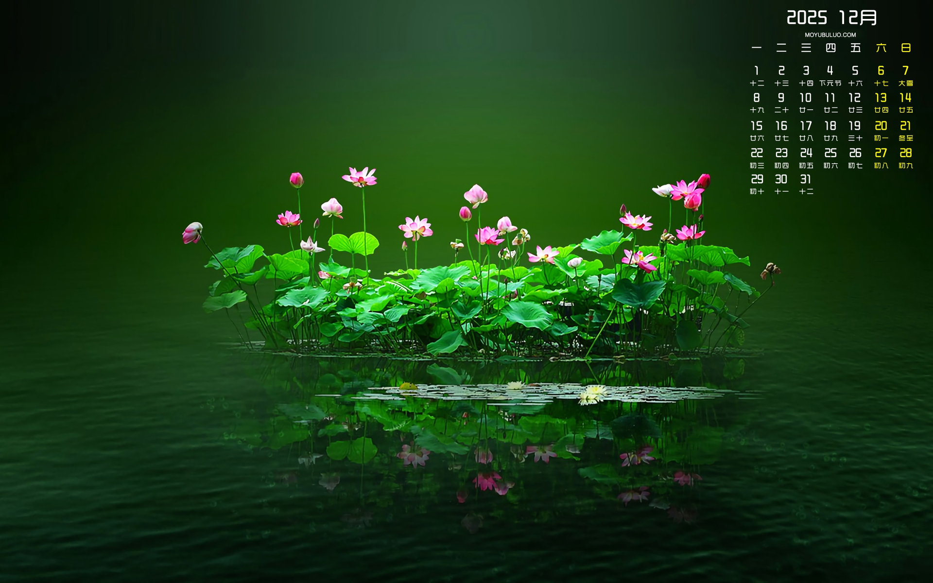 2026年12月荷花主题日历电脑桌面壁纸免费下载