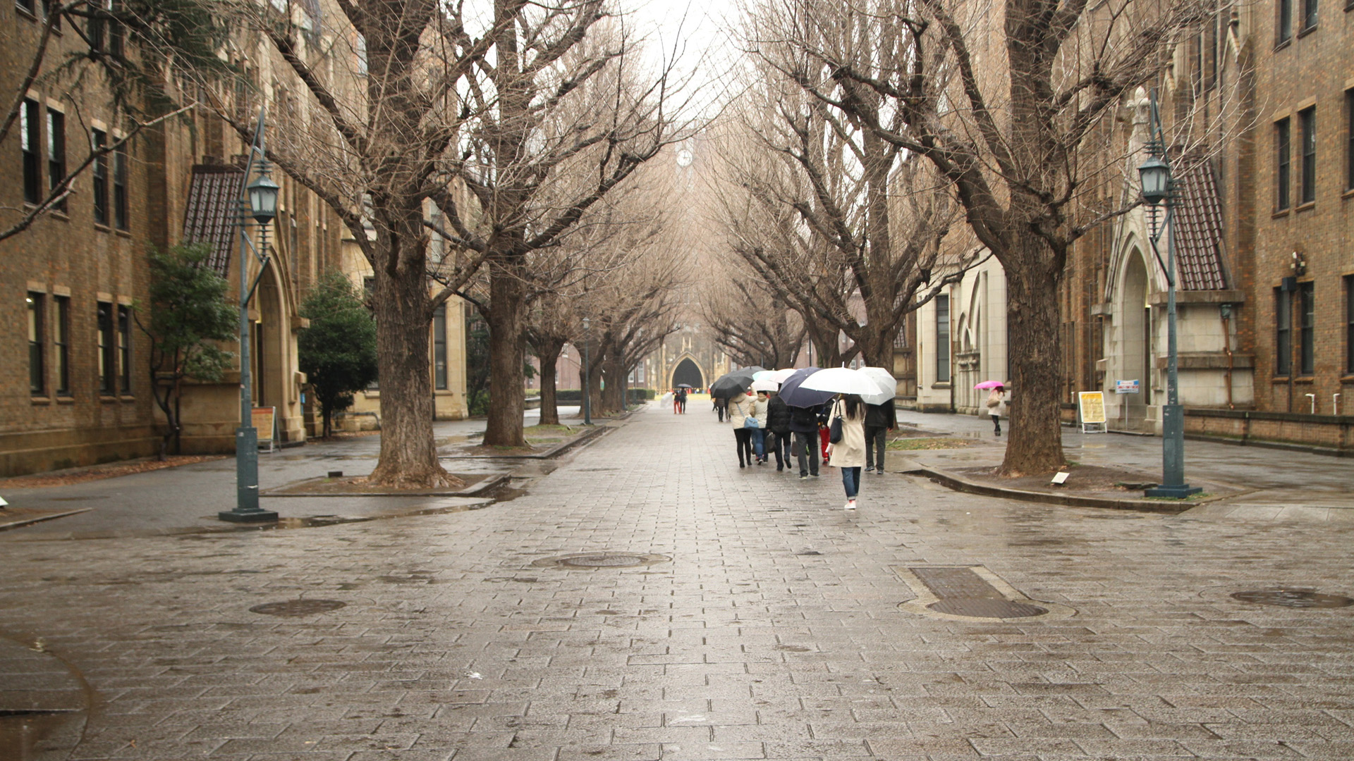 东京大学绝美校园风光，免费高清桌面壁纸，一键下载装点你的电脑屏幕