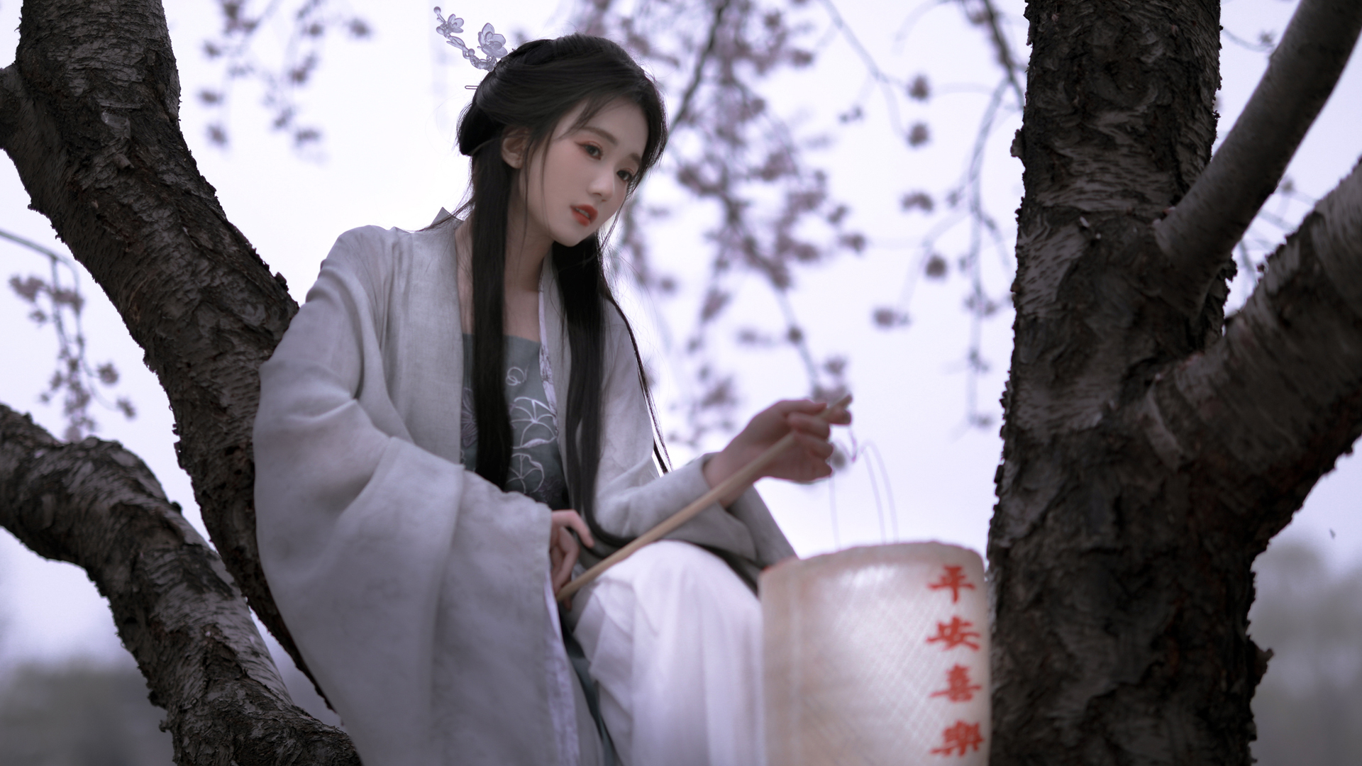 古风美女坐树巅，绝美桌面壁纸免费下载