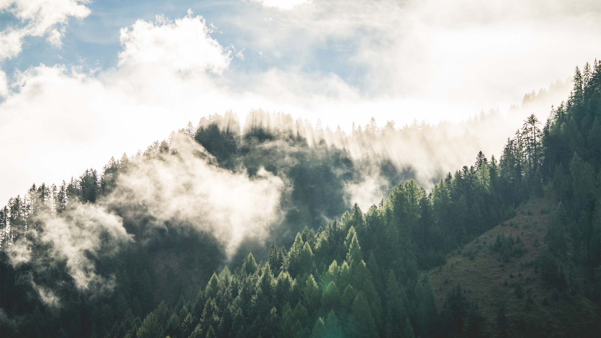 山林晨雾美景壁纸，免费高清自然风景，电脑桌面新选择！