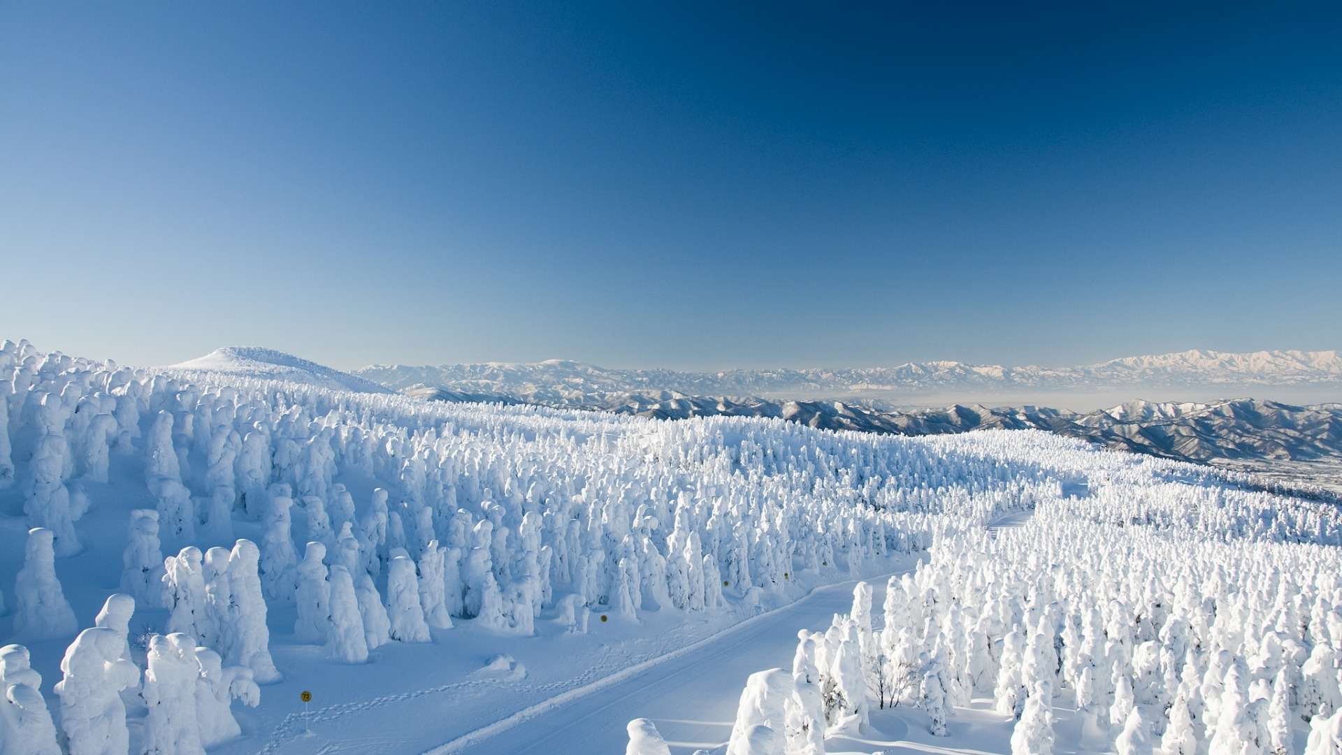 日本藏王树冰奇景，宫城雪山壁纸，绝美桌面背景免费下载